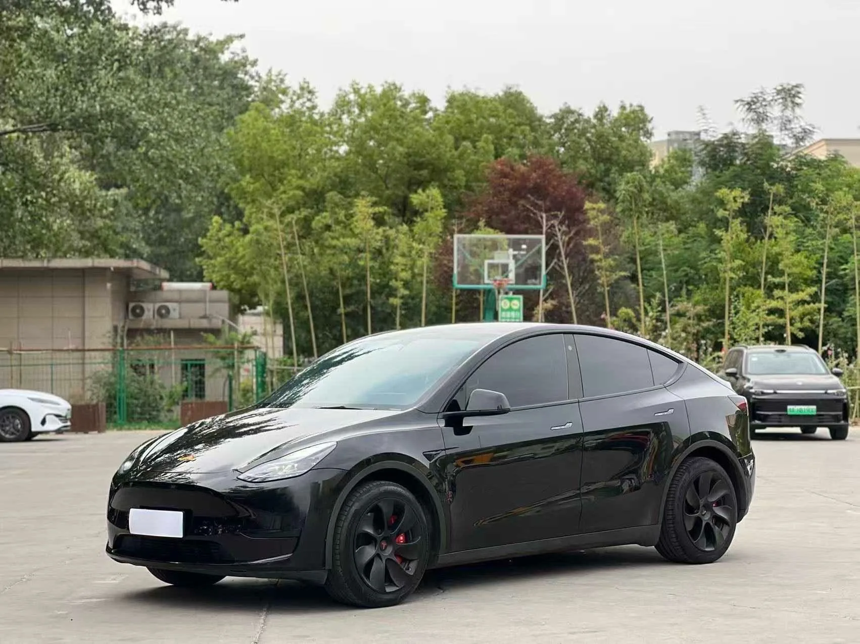 Model Y 2023 Rear-Wheel Drive