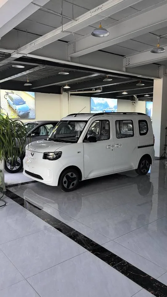 Wuling Sunshine New Energy 2025 Model 201km Standard Edition