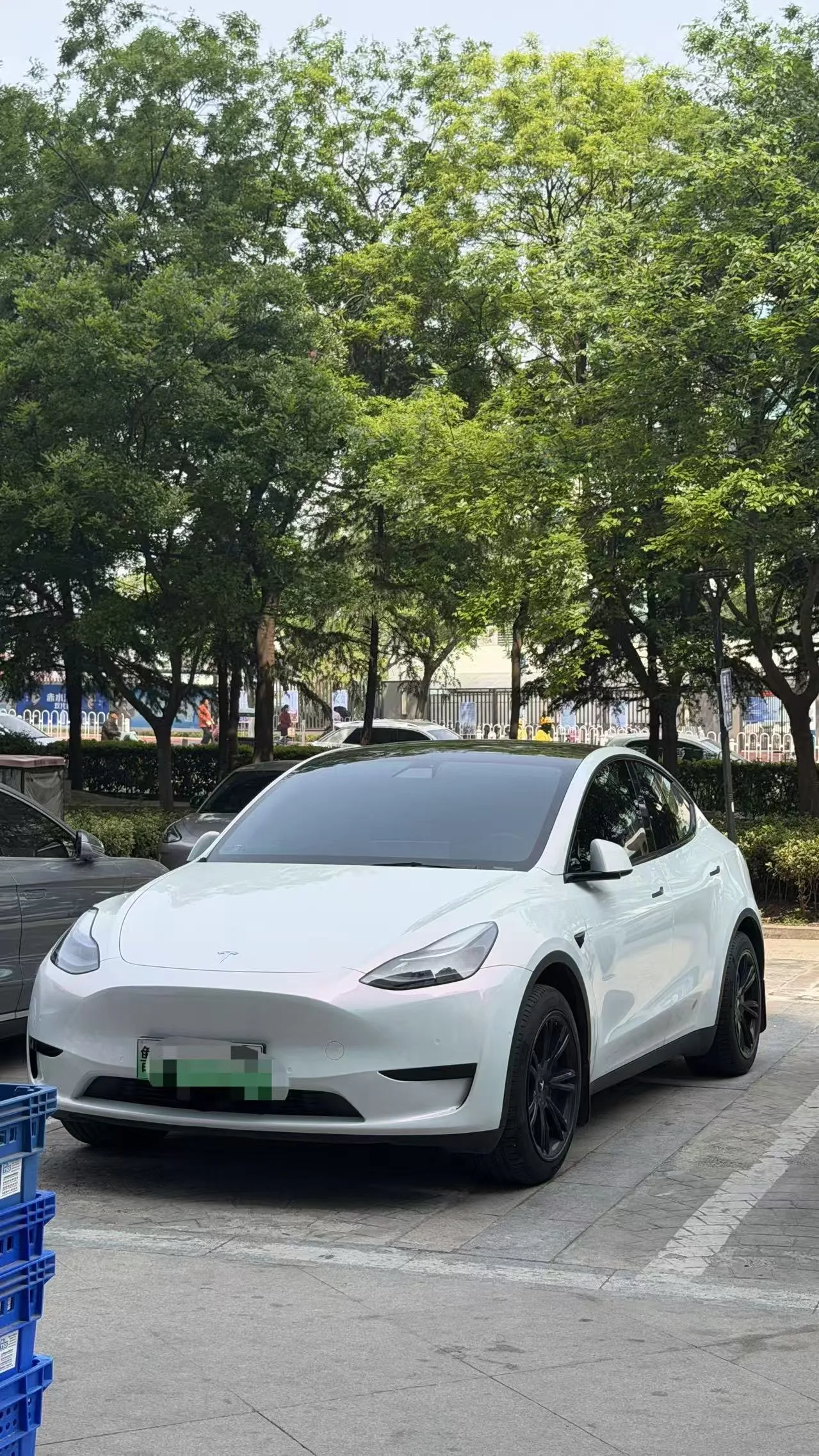 Model Y 2022 Rear-Wheel Drive