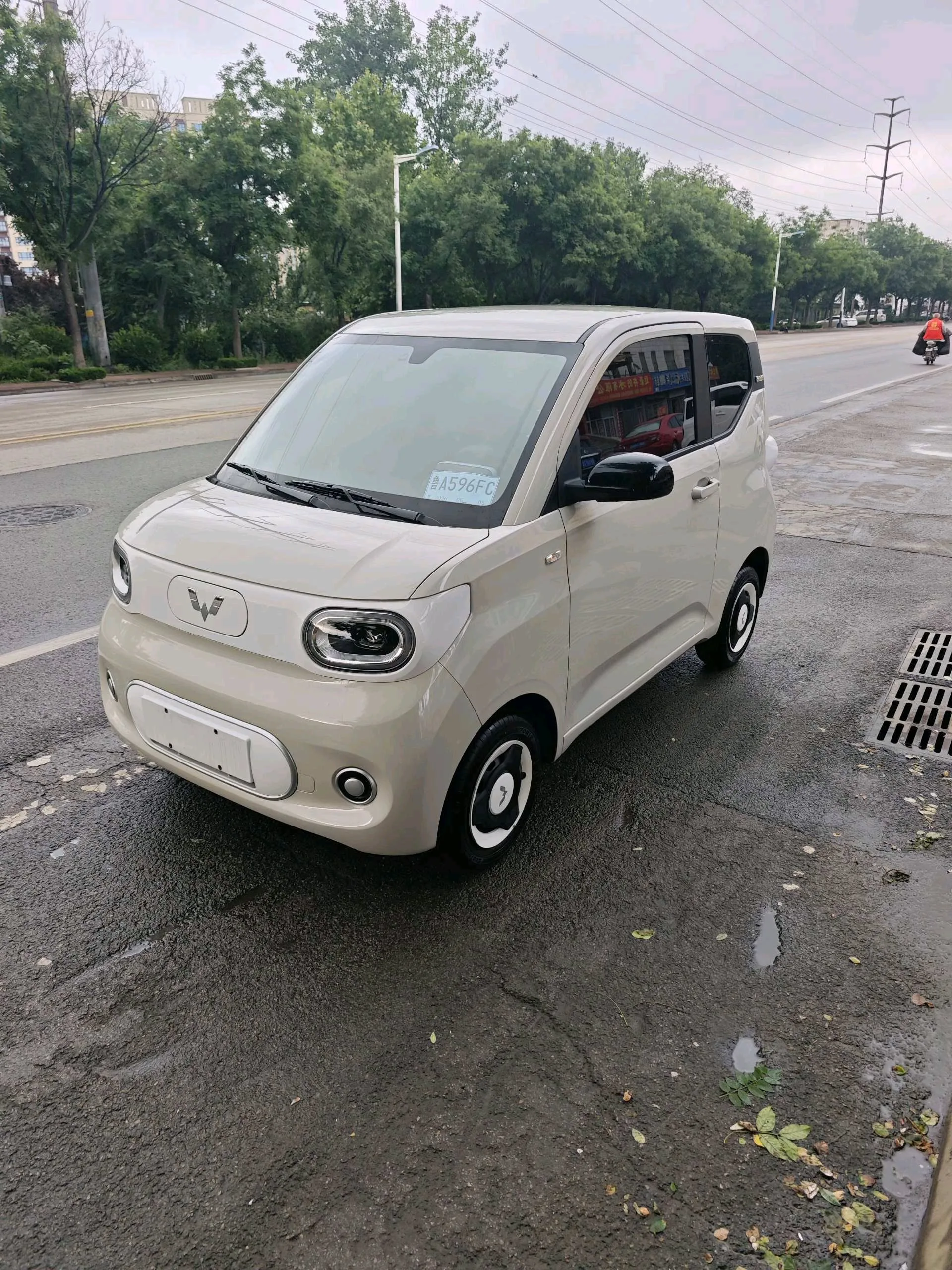 Wuling 2024 Hongguang MINI EV 215km Youth Edition Automatic