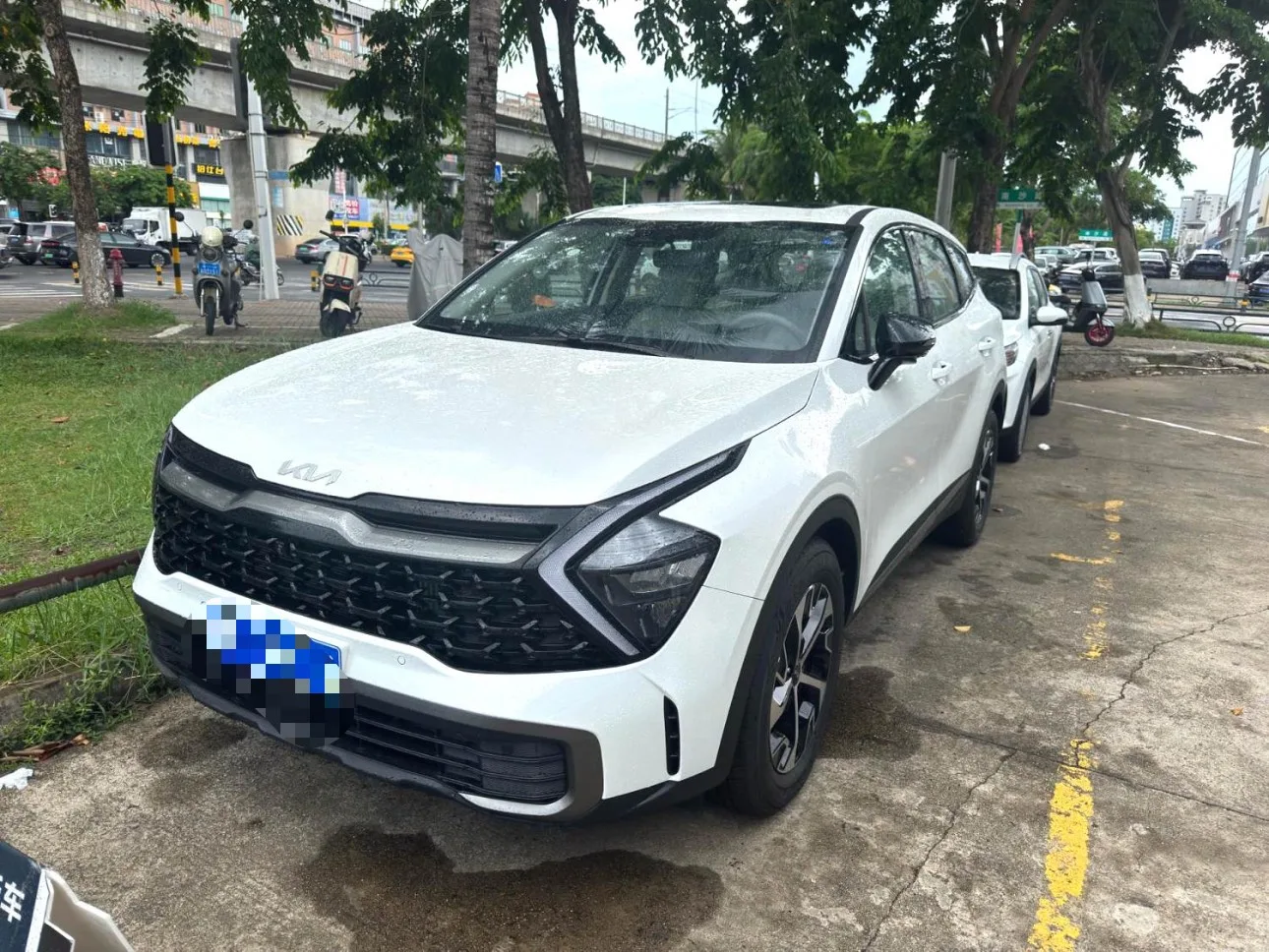 Kia 2025 Lion Platinum Edition 1.5T 2WD Premium Automatic
