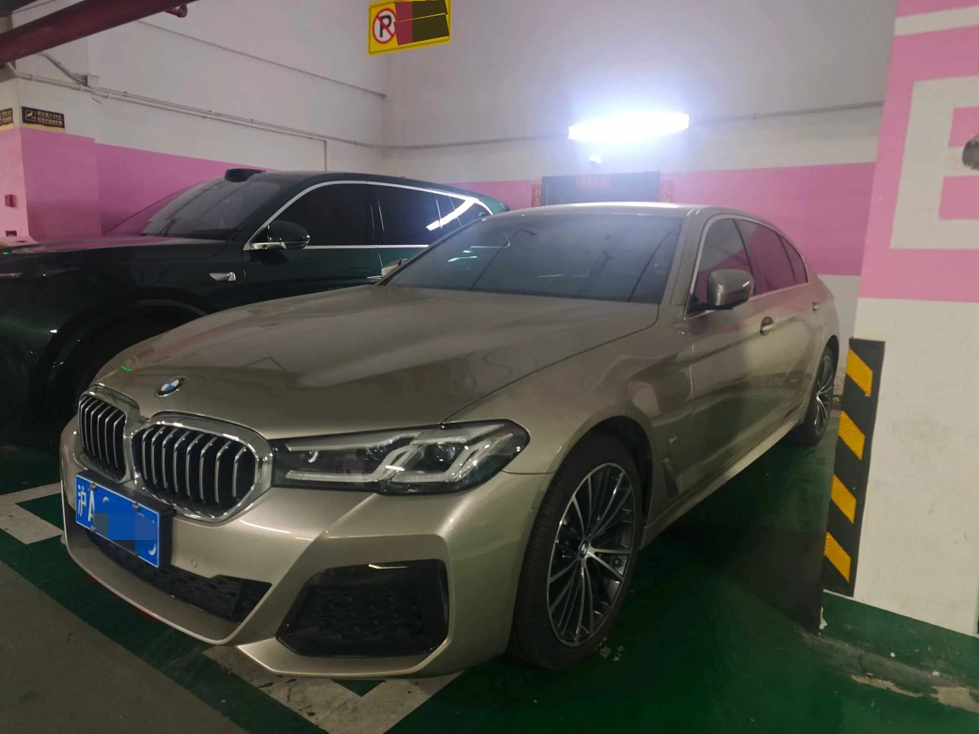 2021 BMW 5 Series 530Li Leading Edition M Sport Package