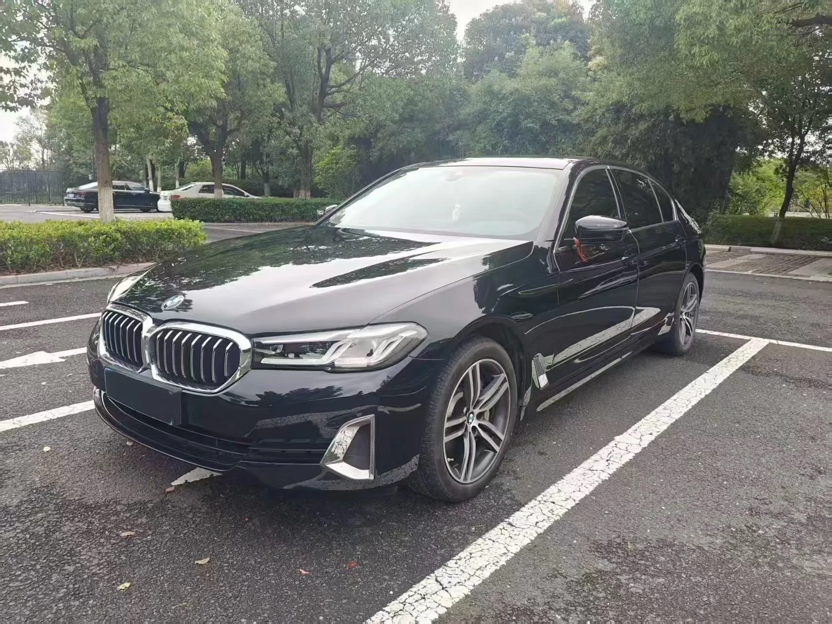 BMW 5 Series 2021 530Li Leading Luxury Package