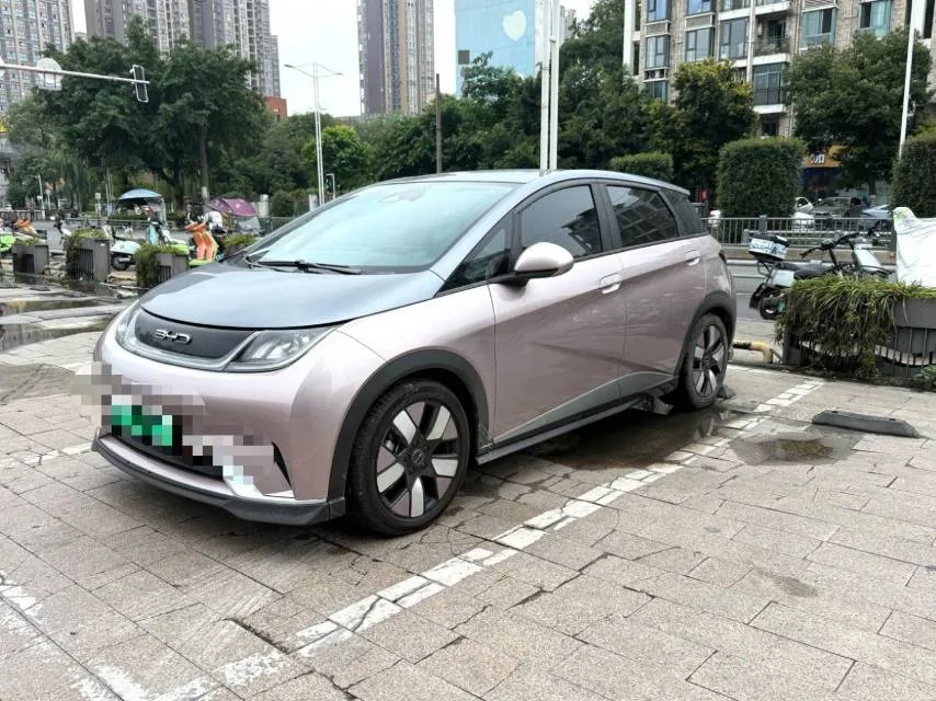 Dolphin 2021 Model 401km/h Knight Edition
