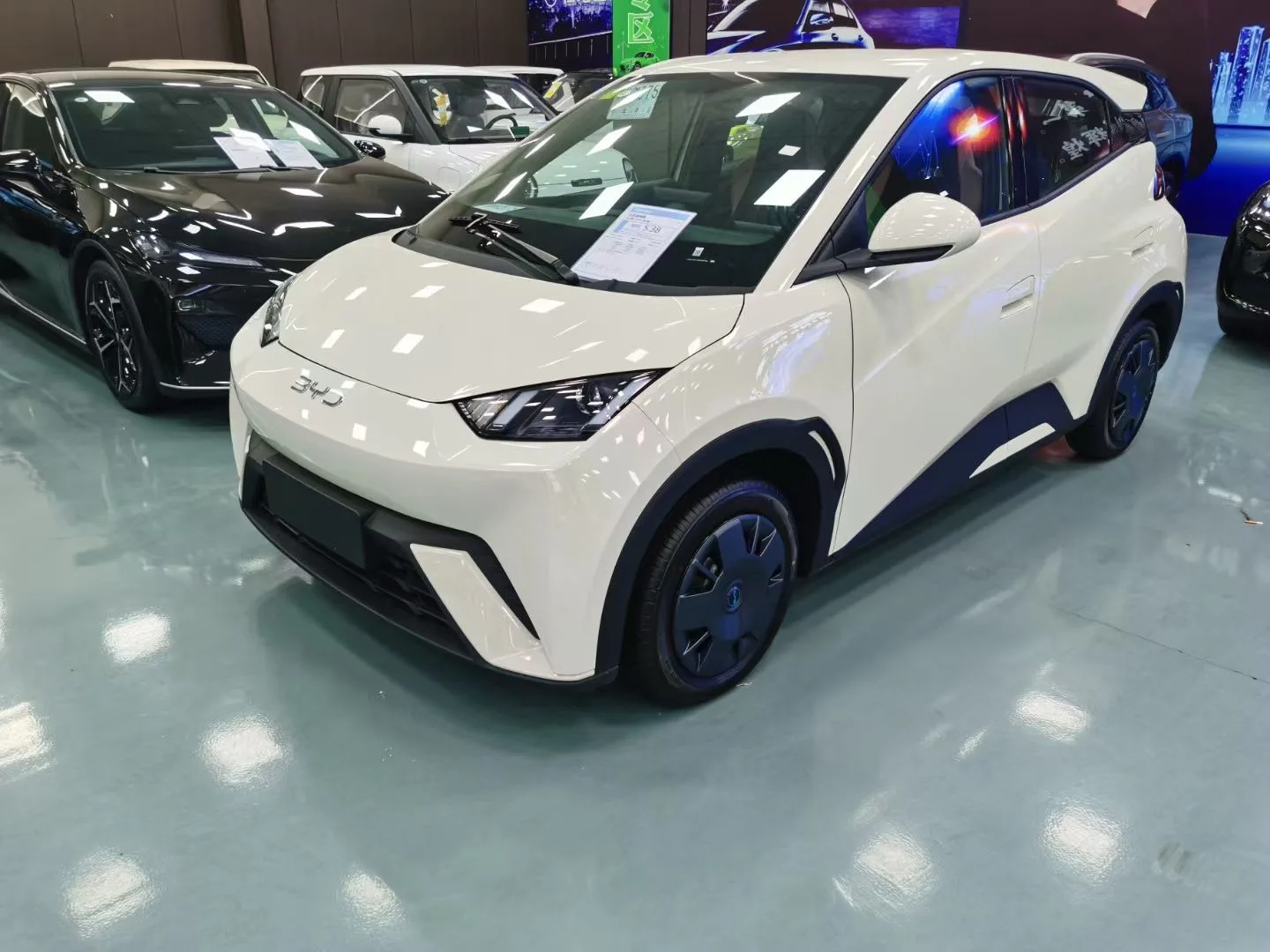 BYD 2025 Seagull Smart Driving Edition 305km/h Vitality Edition Automatic