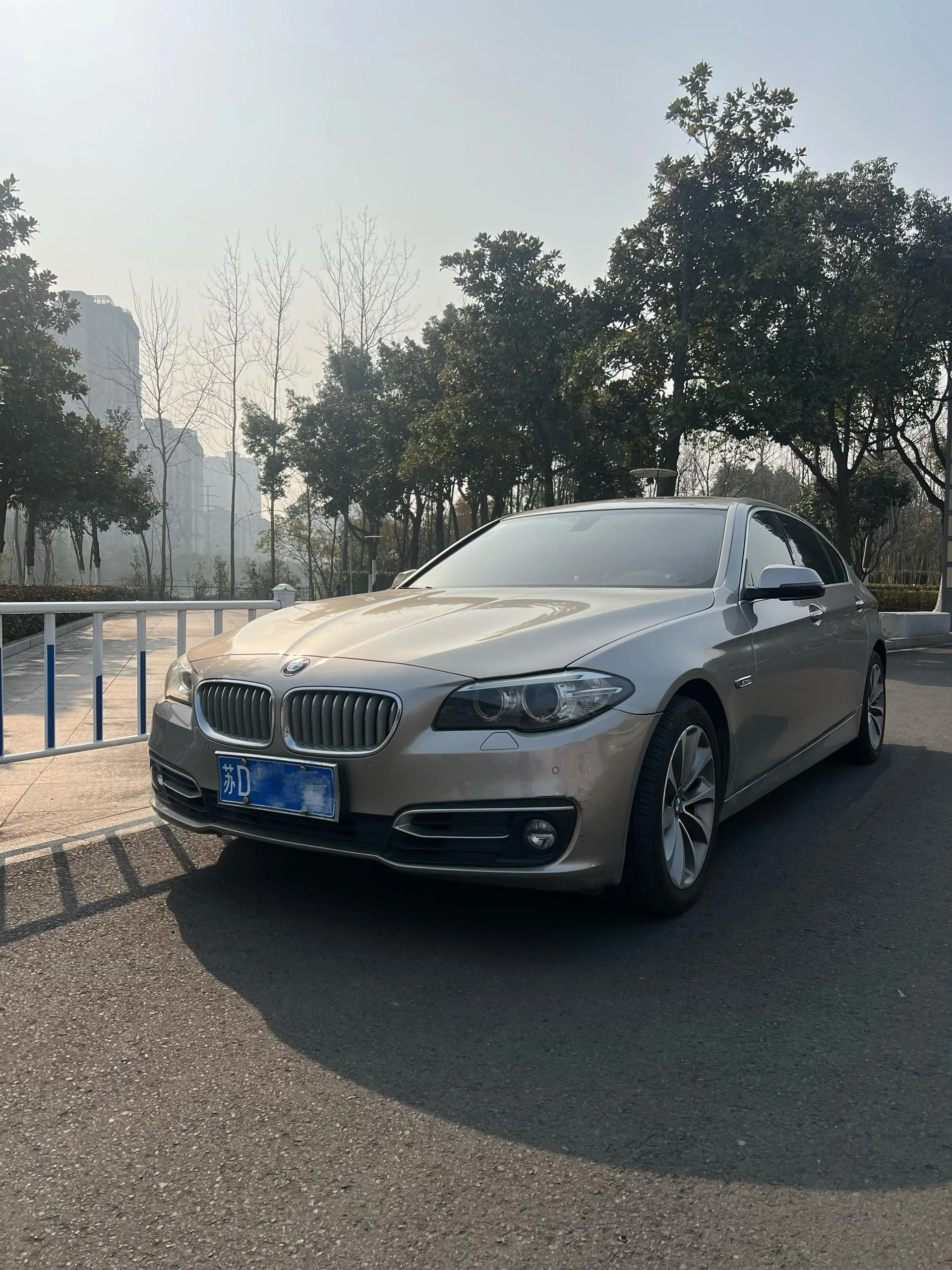 2014 BMW 5 Series 525Li Luxury Design Package