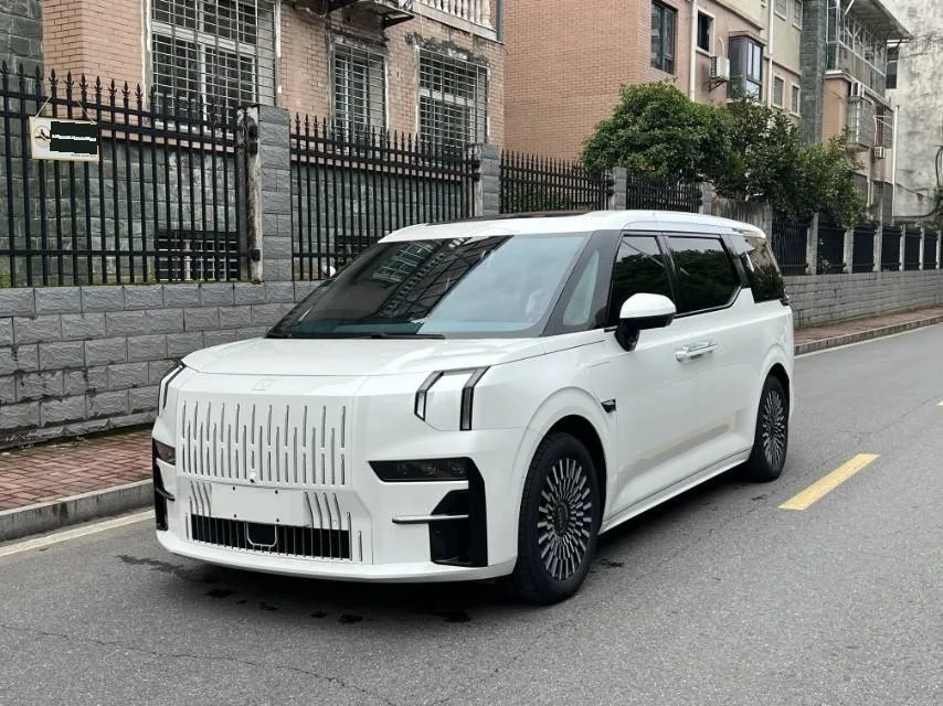 2022 ZEEKR 009 Dual-Motor Base Model 6-Seater