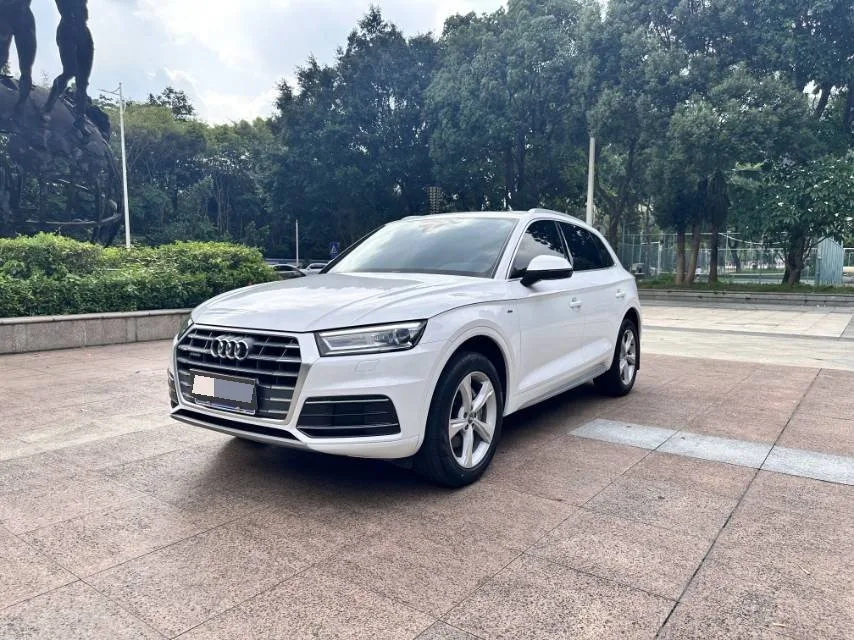 Audi Q5L 2020 Facelift 40 TFSI Luxury Progressive Edition