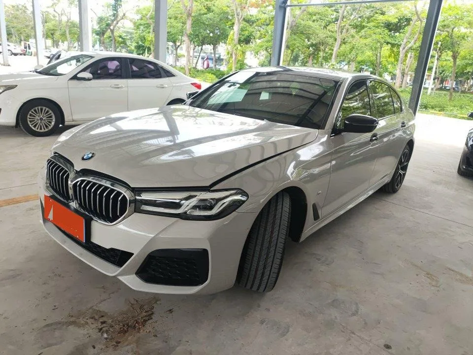 2021 BMW 5 Series 530Li Luxury M Sport Package