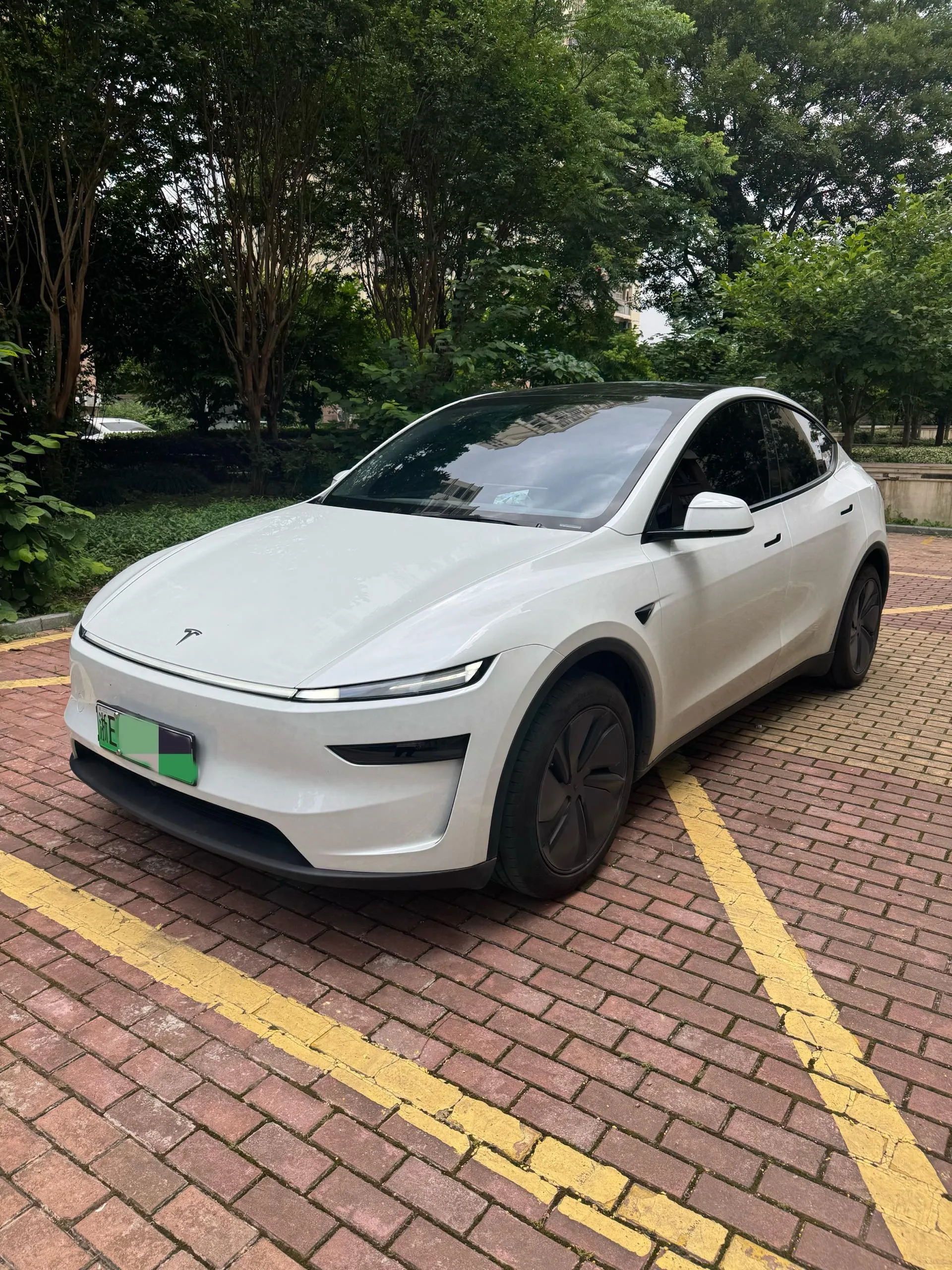 Tesla 2025 Model Y Rear-Wheel Drive Automatic