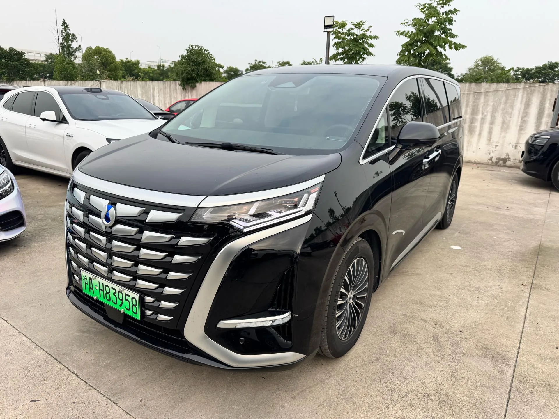 Denza D9 2024 DM-i 1050 Premium Edition