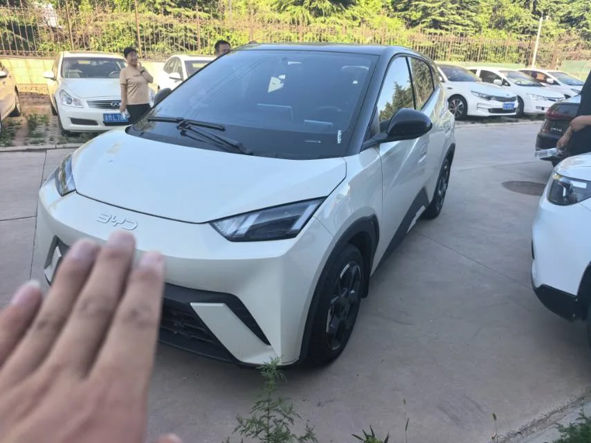 BYD 2025 Seagull 305km/h Freedom Edition Automatic