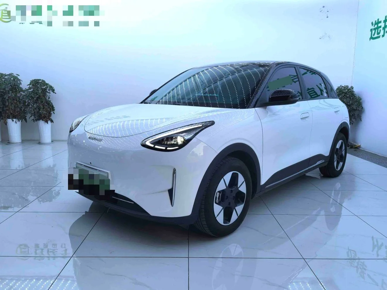 Star Wish 2025 310km Dream Edition
