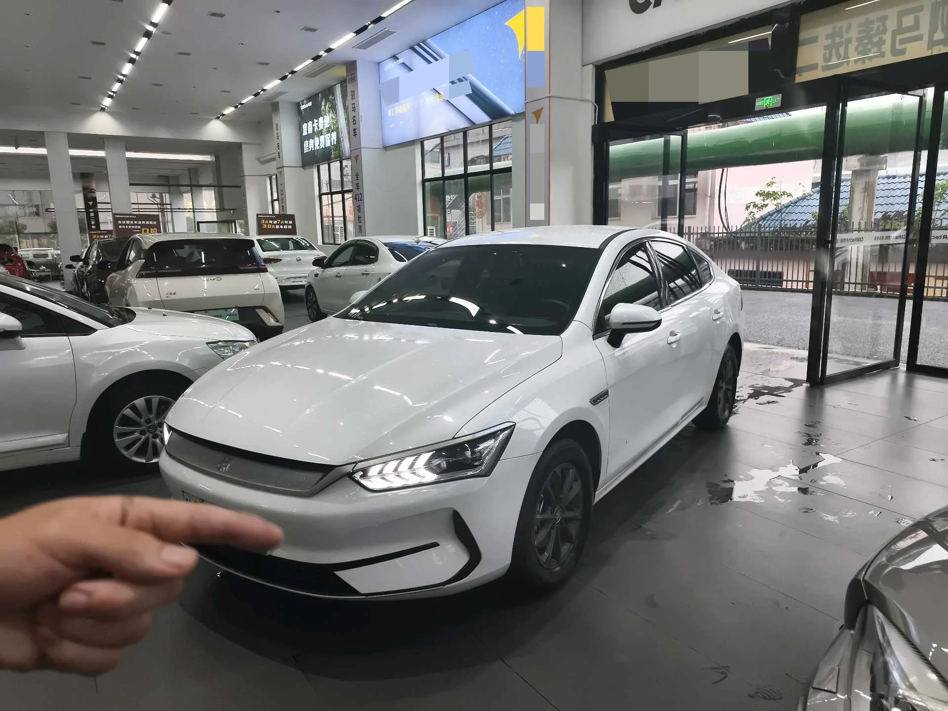 BYD 2024 Qin PLUS EV 510KM Glory Edition (Superior Type) Automatic Transmission