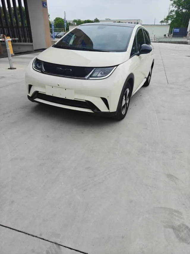 BYD 2023 Dolphin 420km Fashion Edition Automatic