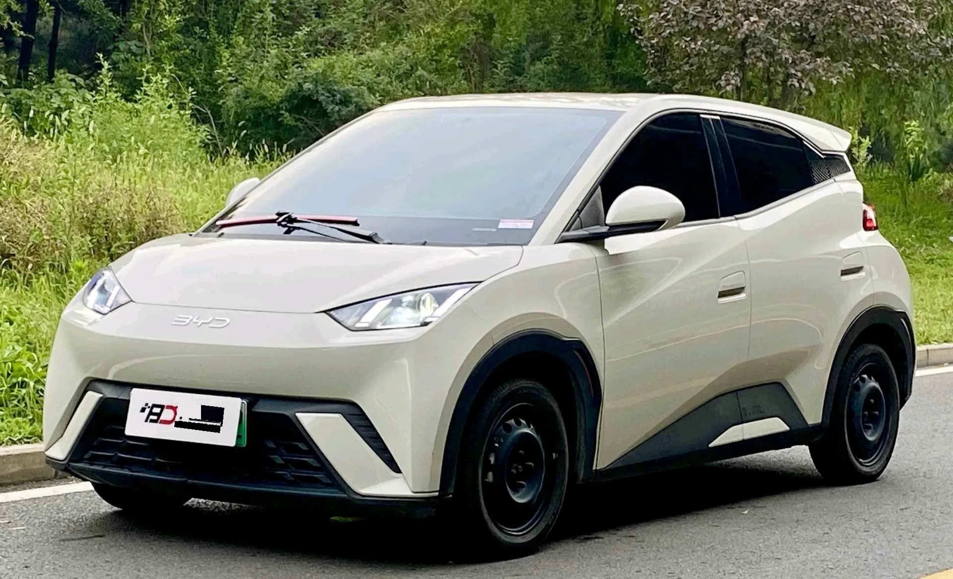 BYD 2024 Seagull Glory Edition 305km/h Vitality Edition Automatic