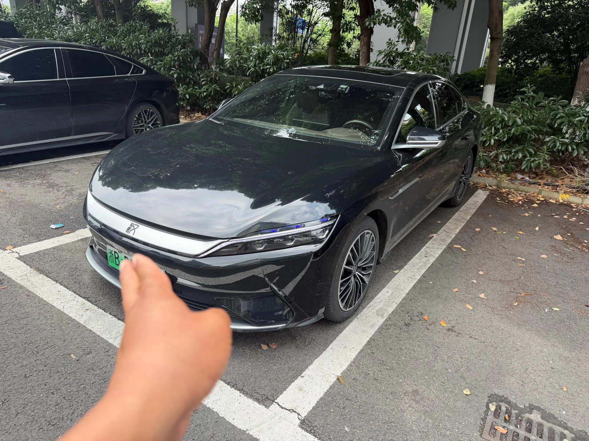 Han 2020 EV Extended Range Premium Edition