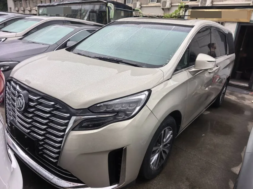 Buick GL8 2021 ES Avantgarde 653T Premium Edition