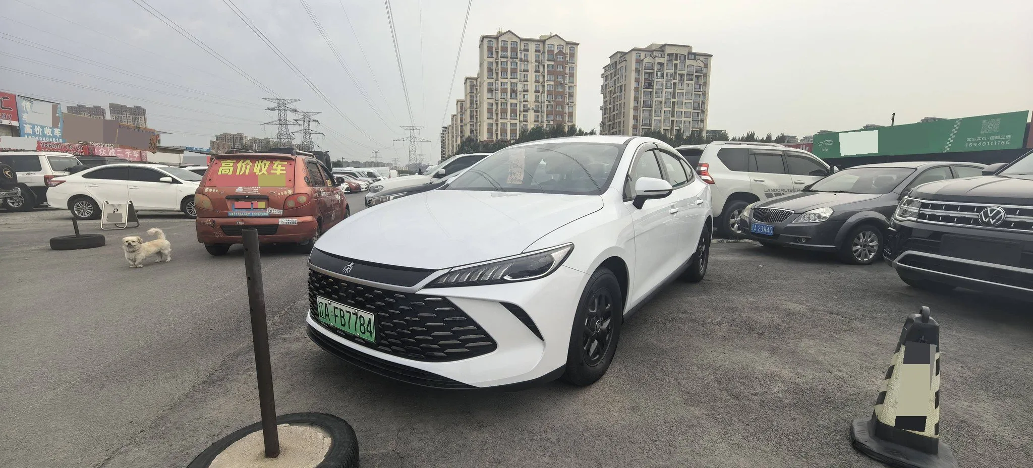 BYD 2025 Qin PLUS DM-i 1.5 CVT Intelligent Driving Edition 55KM Leading Model Automatic
