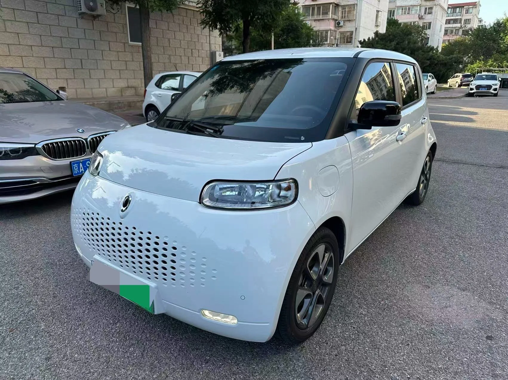 Euler White Cat 2020 Model, 401 km, Flagship Edition
