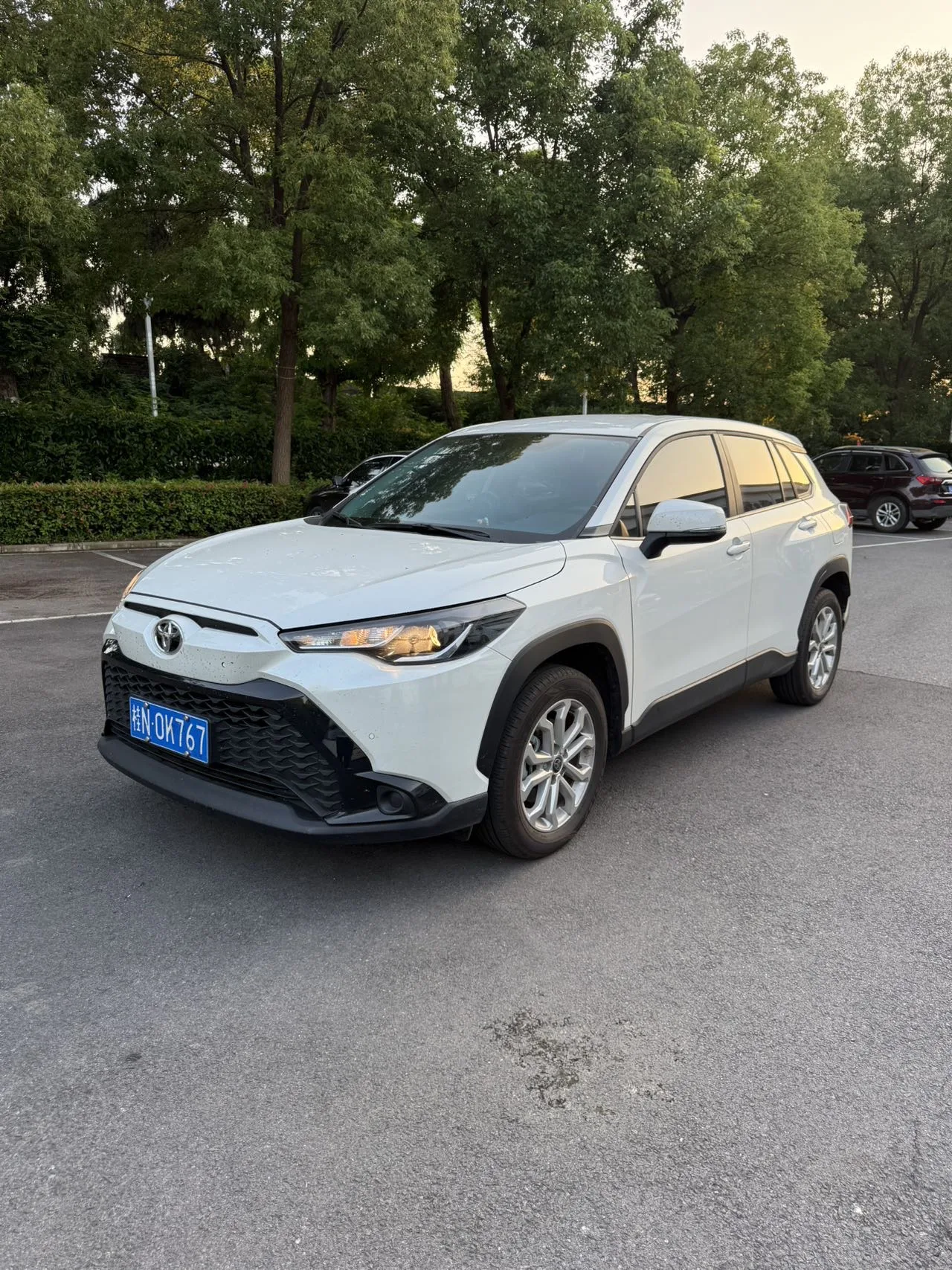 Toyota 2024 Honda GL8 2.0L CVT Leading Edition Automatic