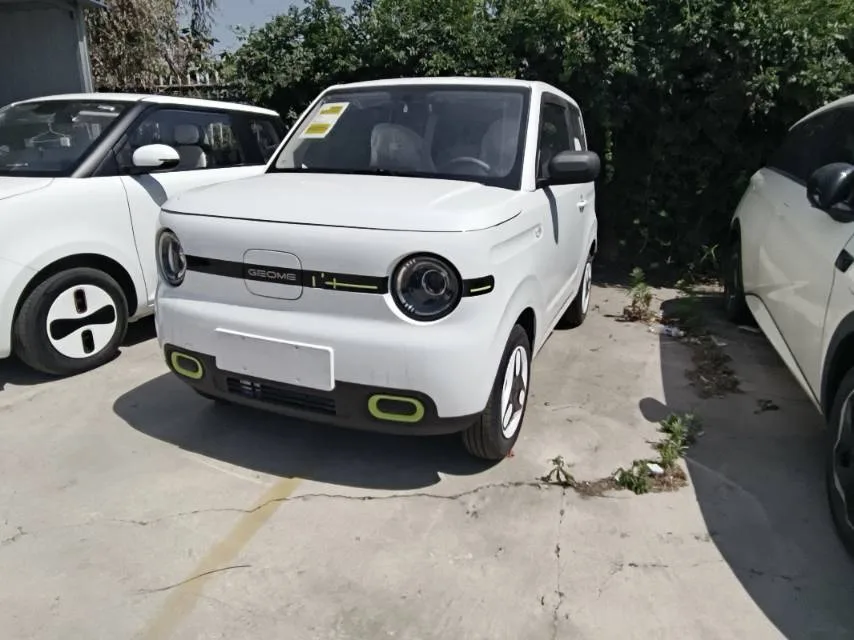 Panda 2024 Panda Mini 200km Endurance Bear