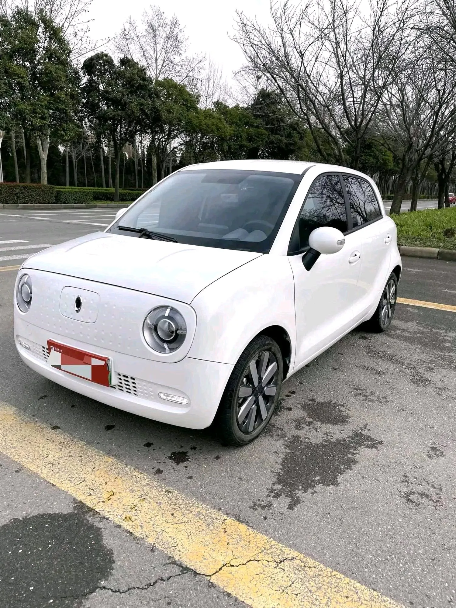 ORA Black Cat 2021 Model 351km Standard Edition