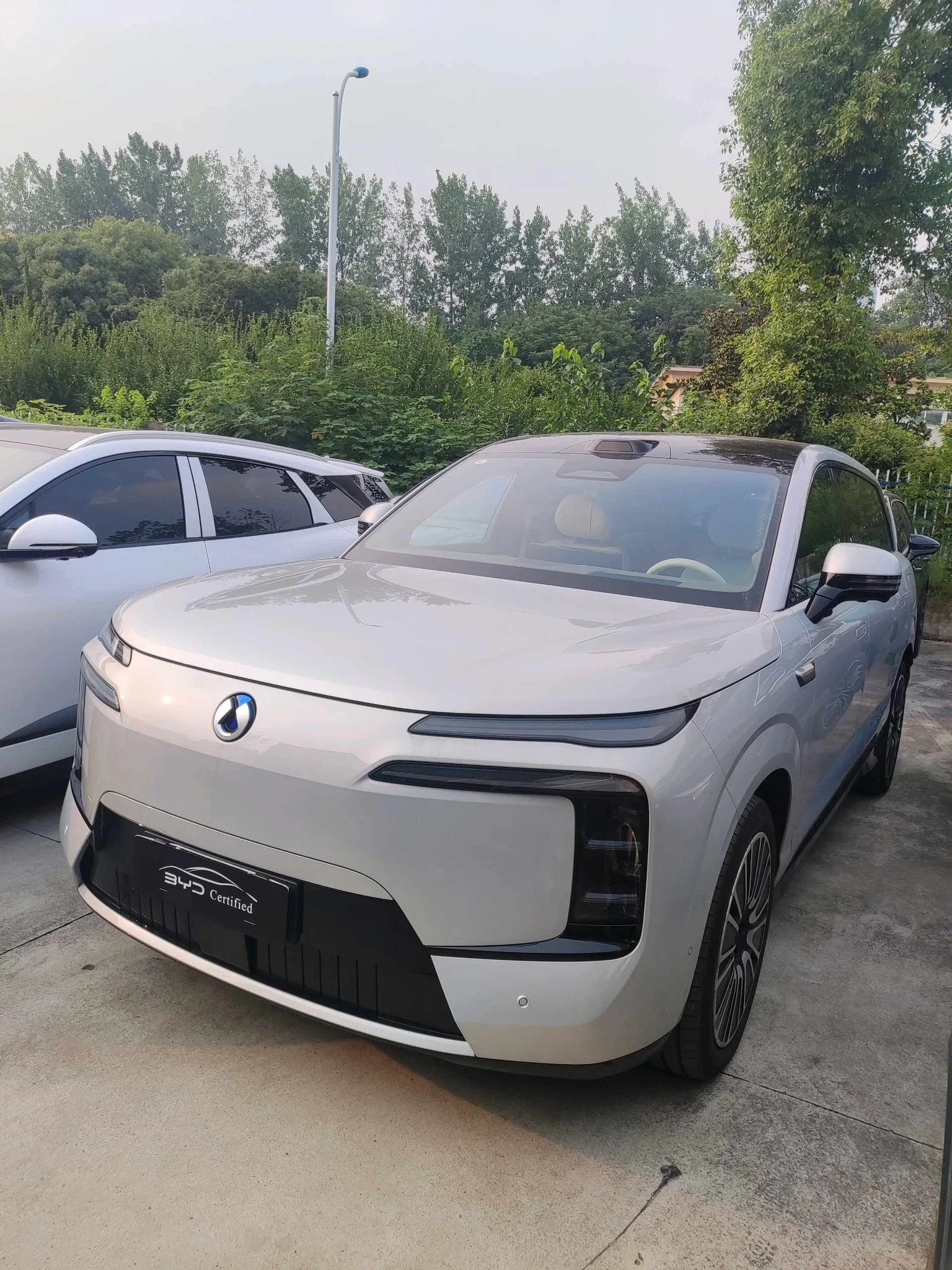 Denza 2025 Denza N8L 2.0T CVT Flagship Automatic