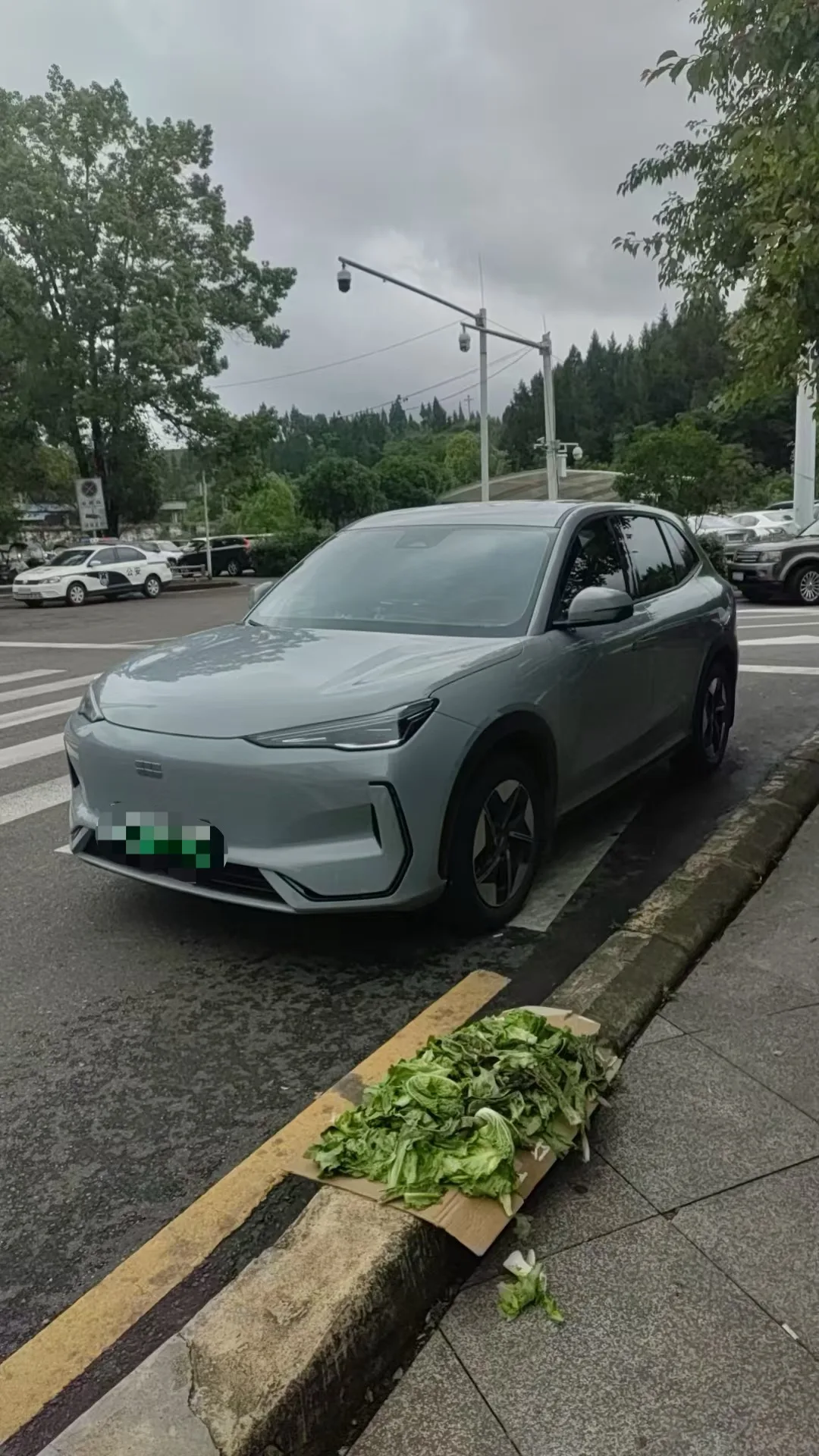 Geely Galaxy 2024 E5 530km Long Range Edition Automatic