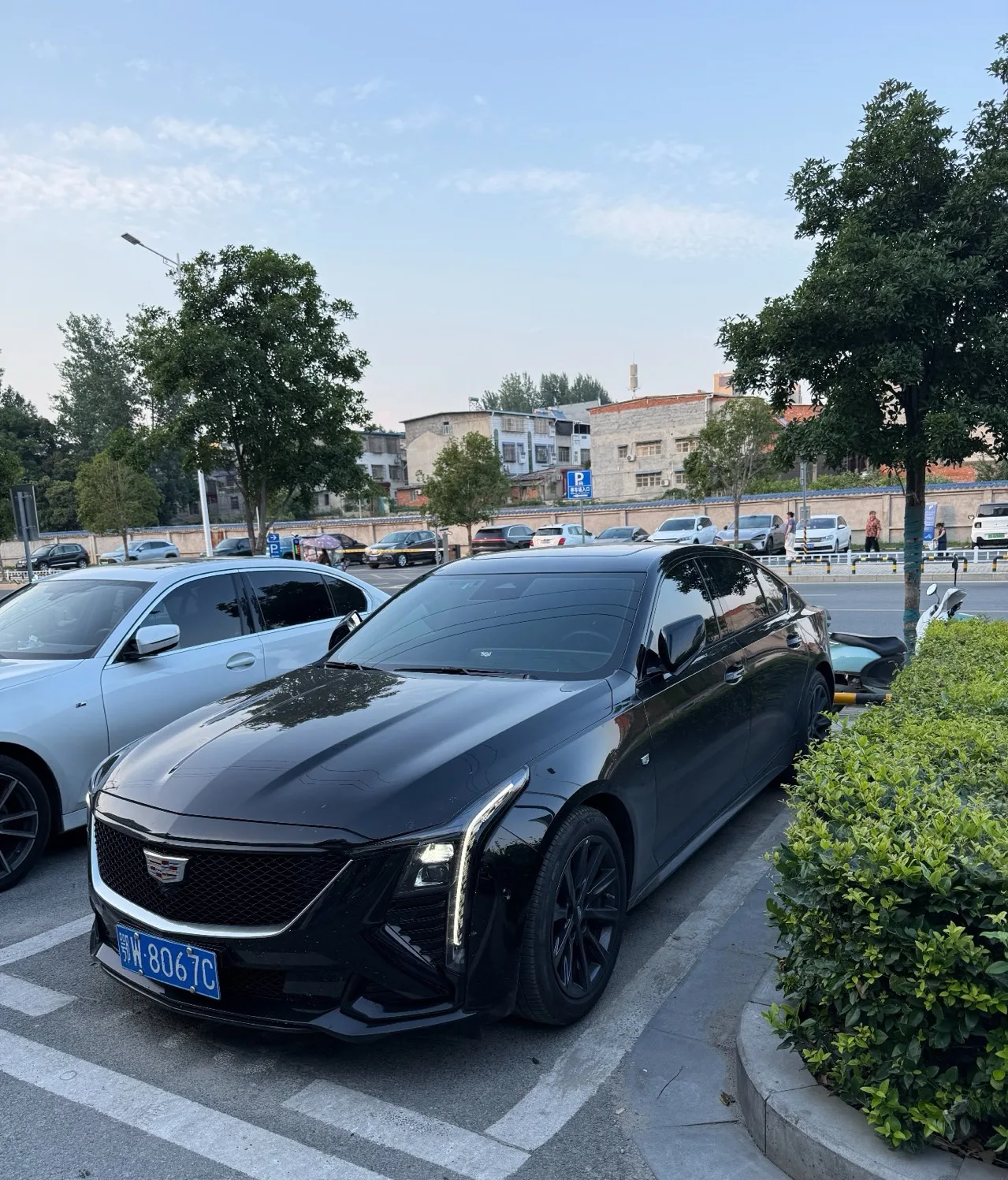 Cadillac CT5 2024 28T Premium