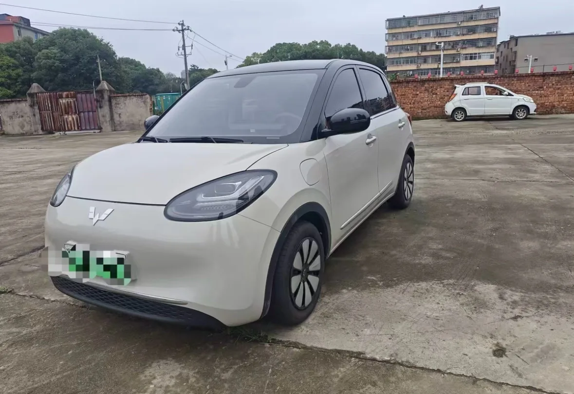 Wuling Bingo 2024 Model, 203 km Range, Light Enjoy Edition