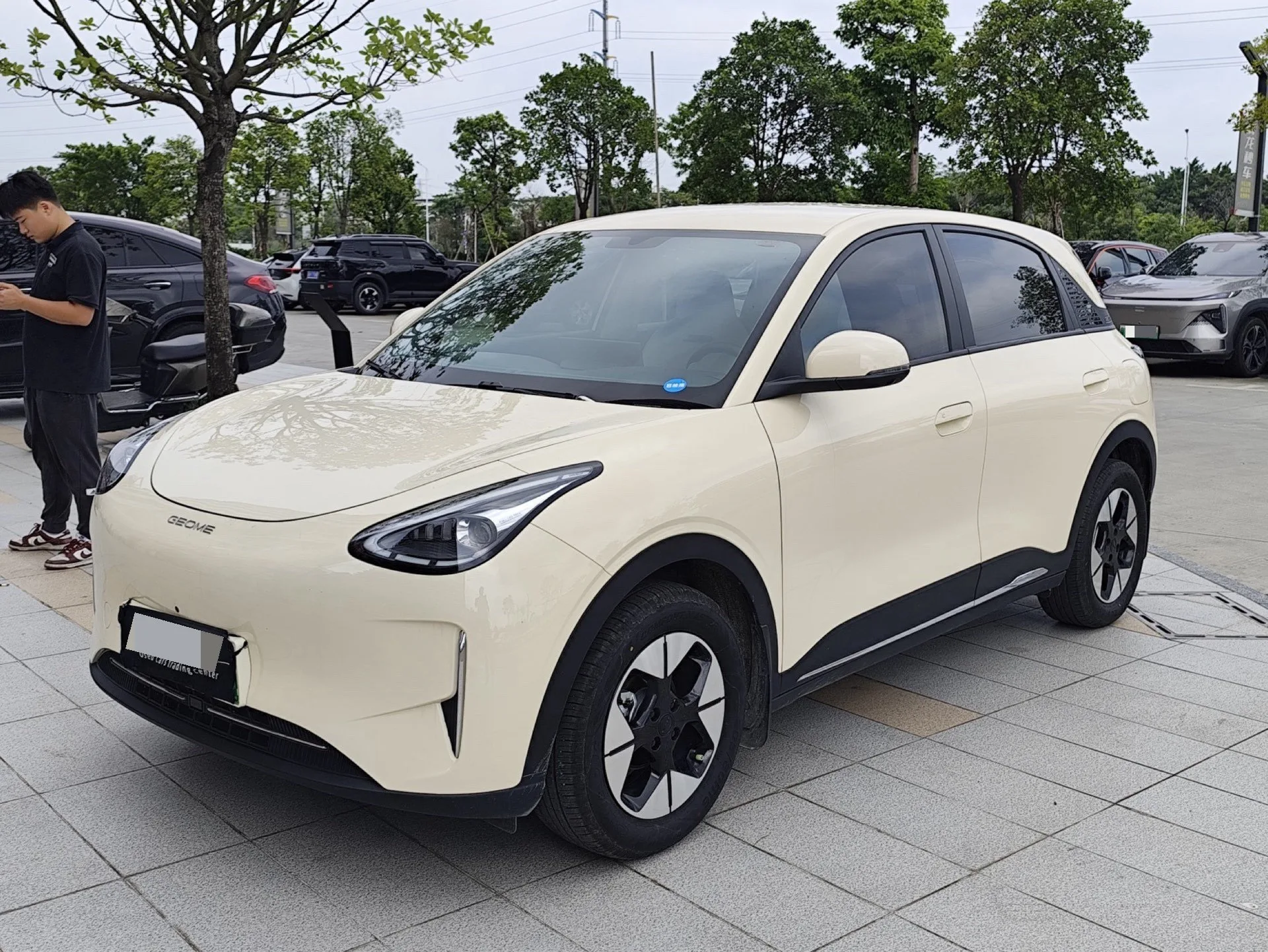 Star Wish 2025 310km Dream Edition