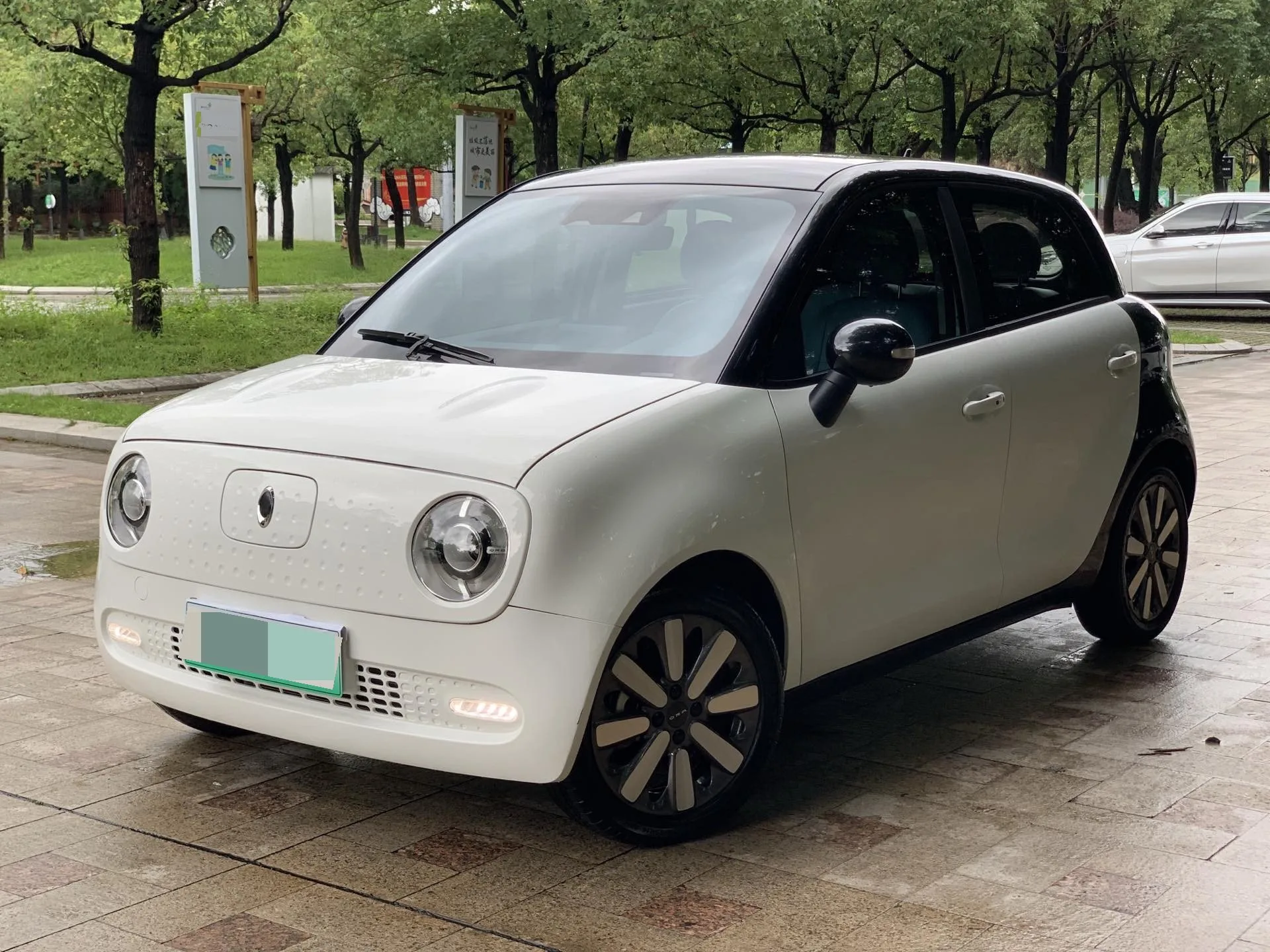Euler Black Cat 2021 Model, 405 km Long-Range Version