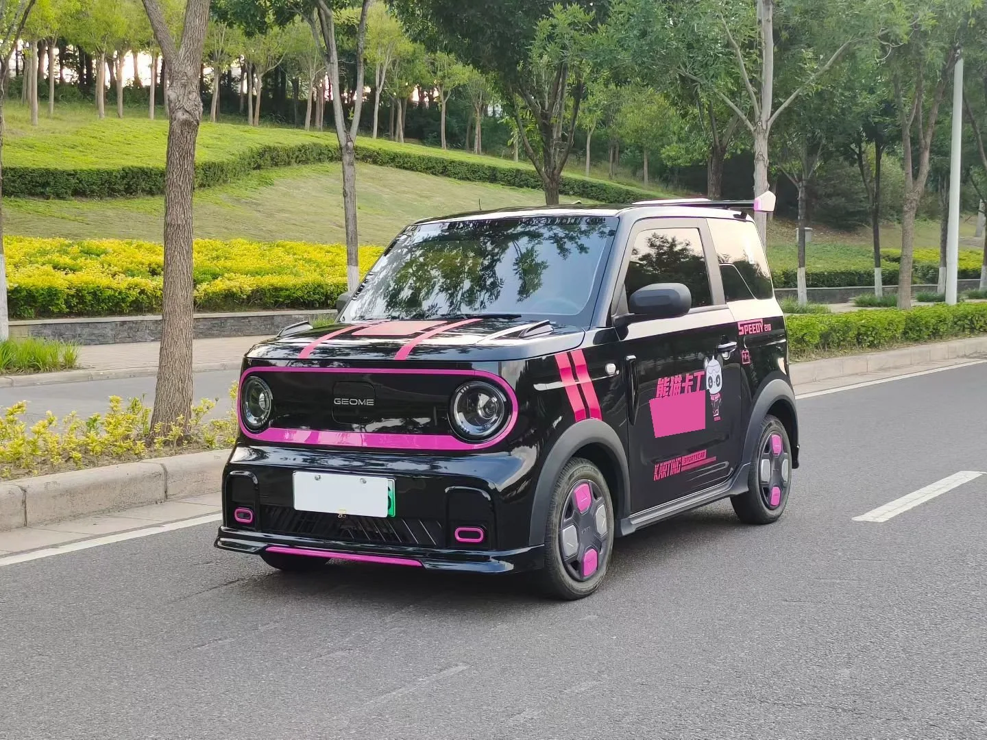 Geely 2025 Panda MINI 210km Panda Go-Kart Automatic