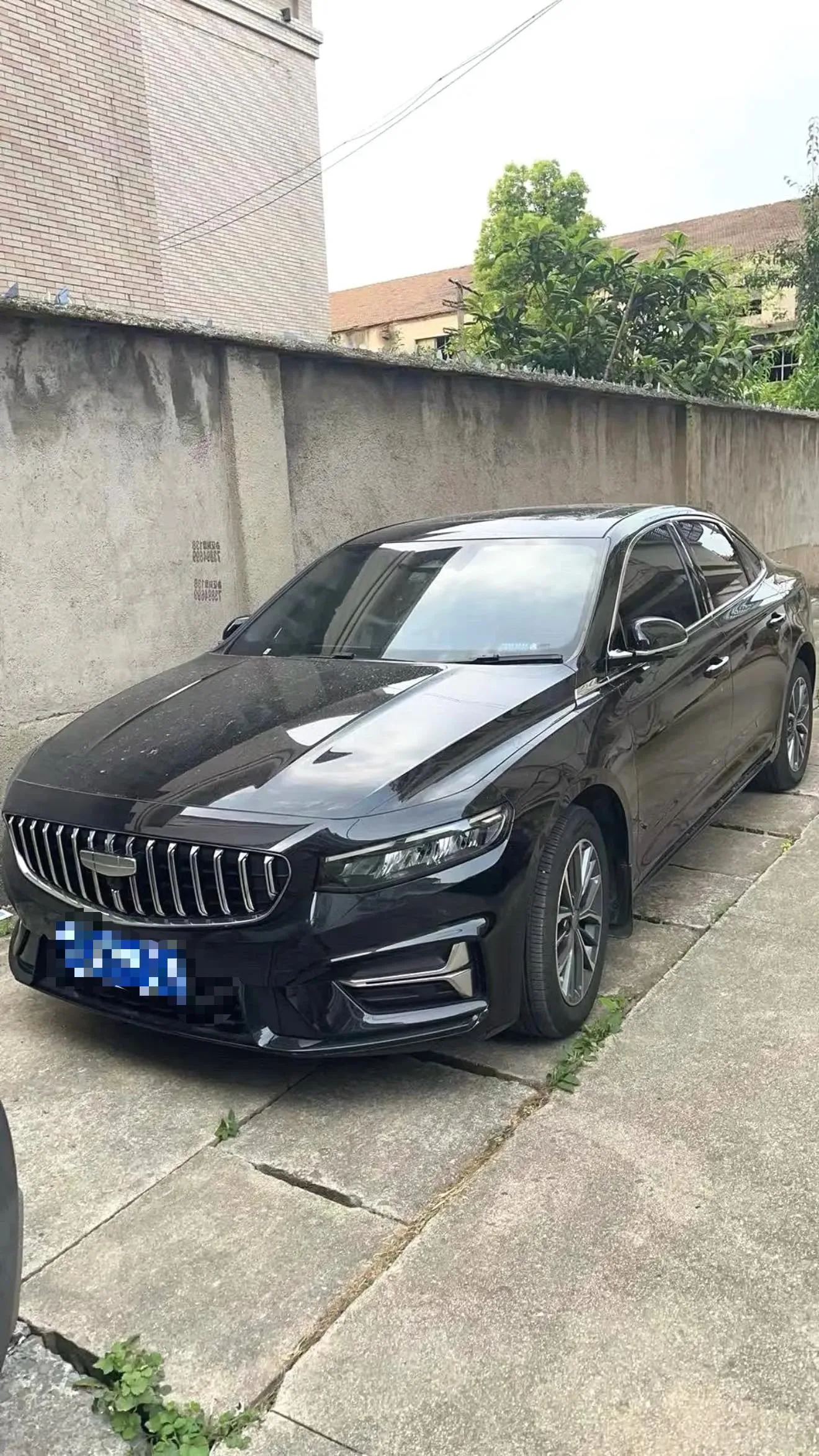 Geely 2025 Xingrui 1.5TD Dongfangyao Fuyao Edition Automatic