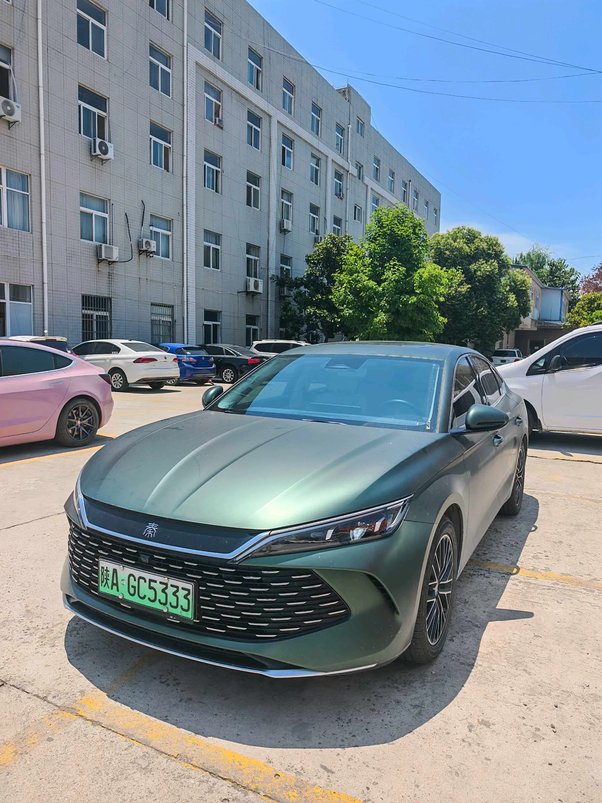 Qin L 2024 DM-i 120KM Excellent Edition