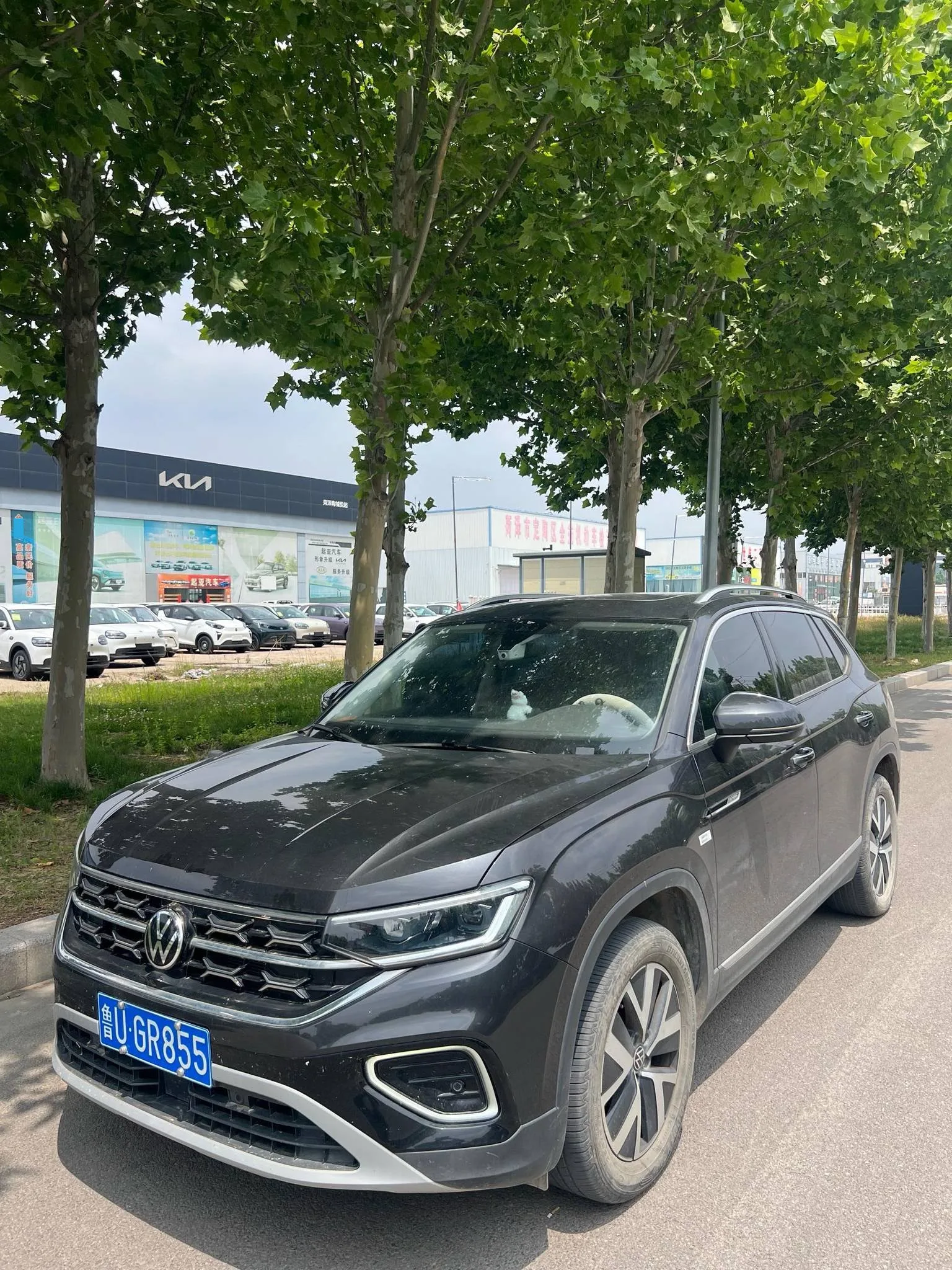 2023 Tiguan 330TSI FWD Luxury Plus Advanced Edition
