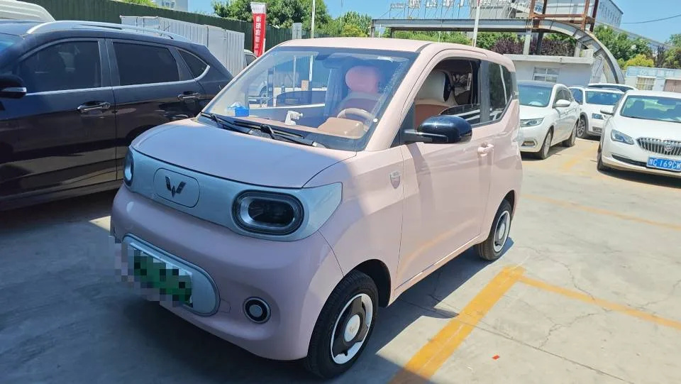 Wuling 2024 Hongguang MINI EV 215km Youth Edition Automatic