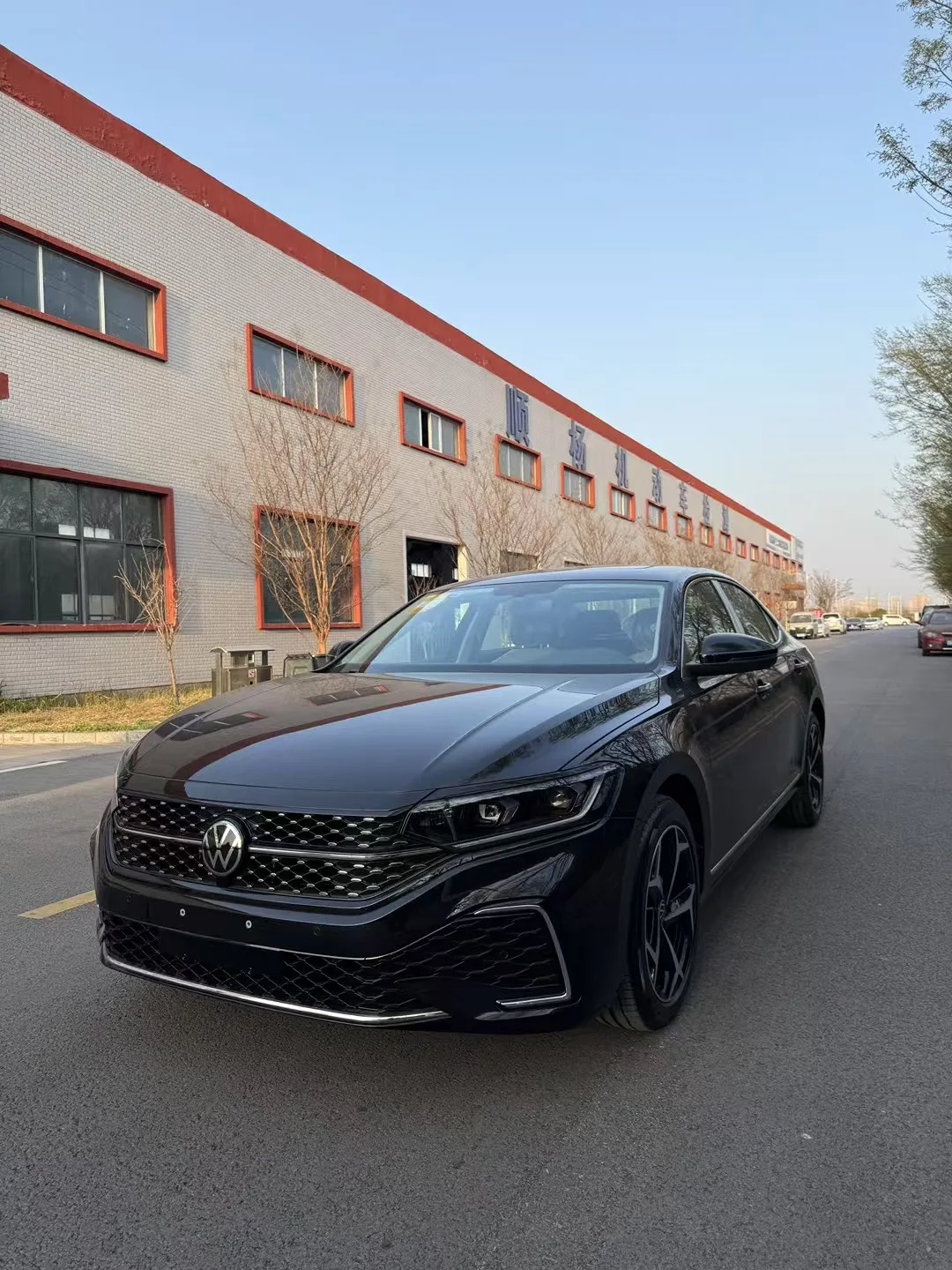 Volkswagen 2025 Passat 2.0TSI 330TSI Outstanding Edition Starry Sky Elite Version Automatic Transmission