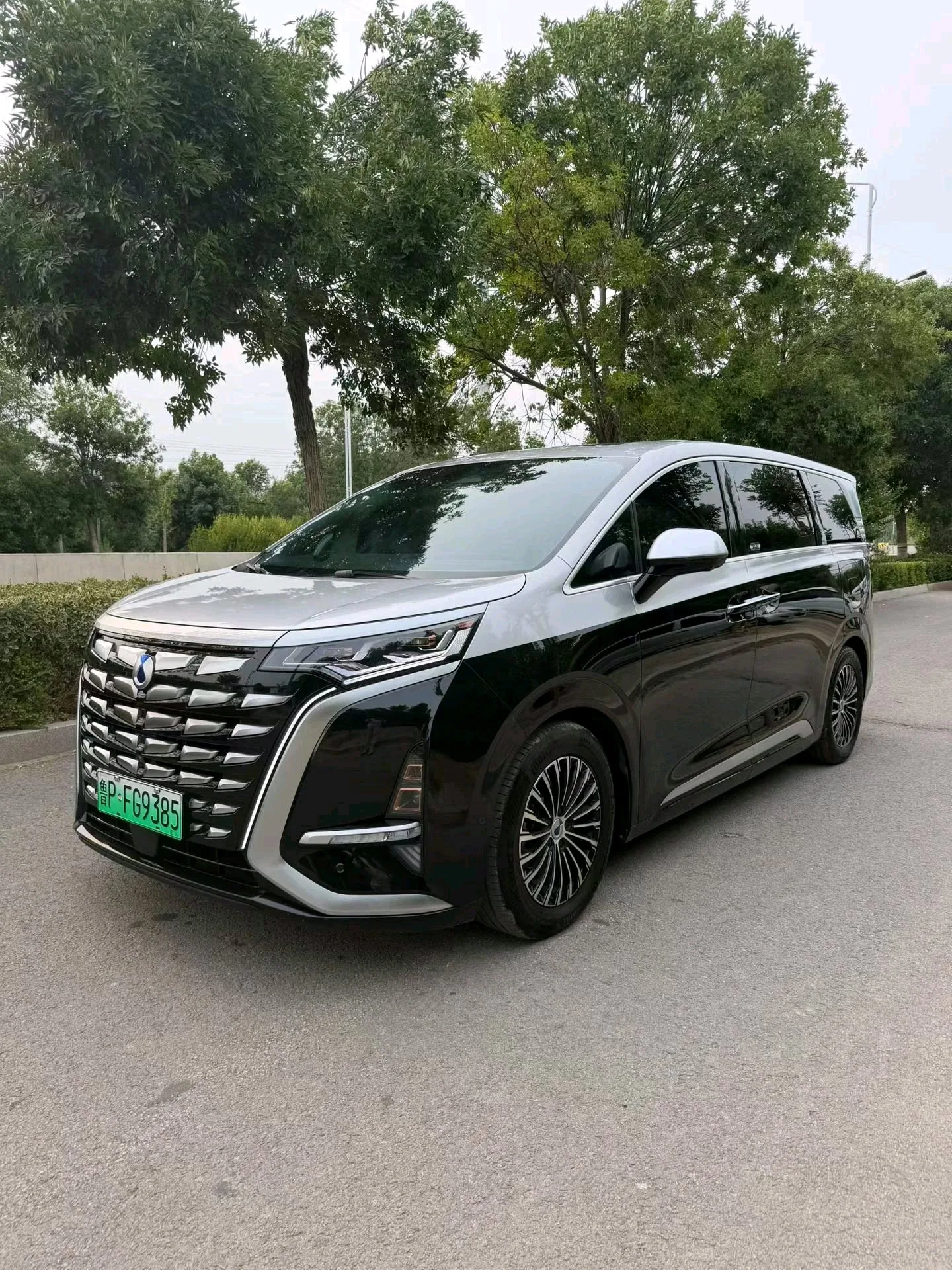 Denza D9 2024 DM-i 980 AWD Flagship