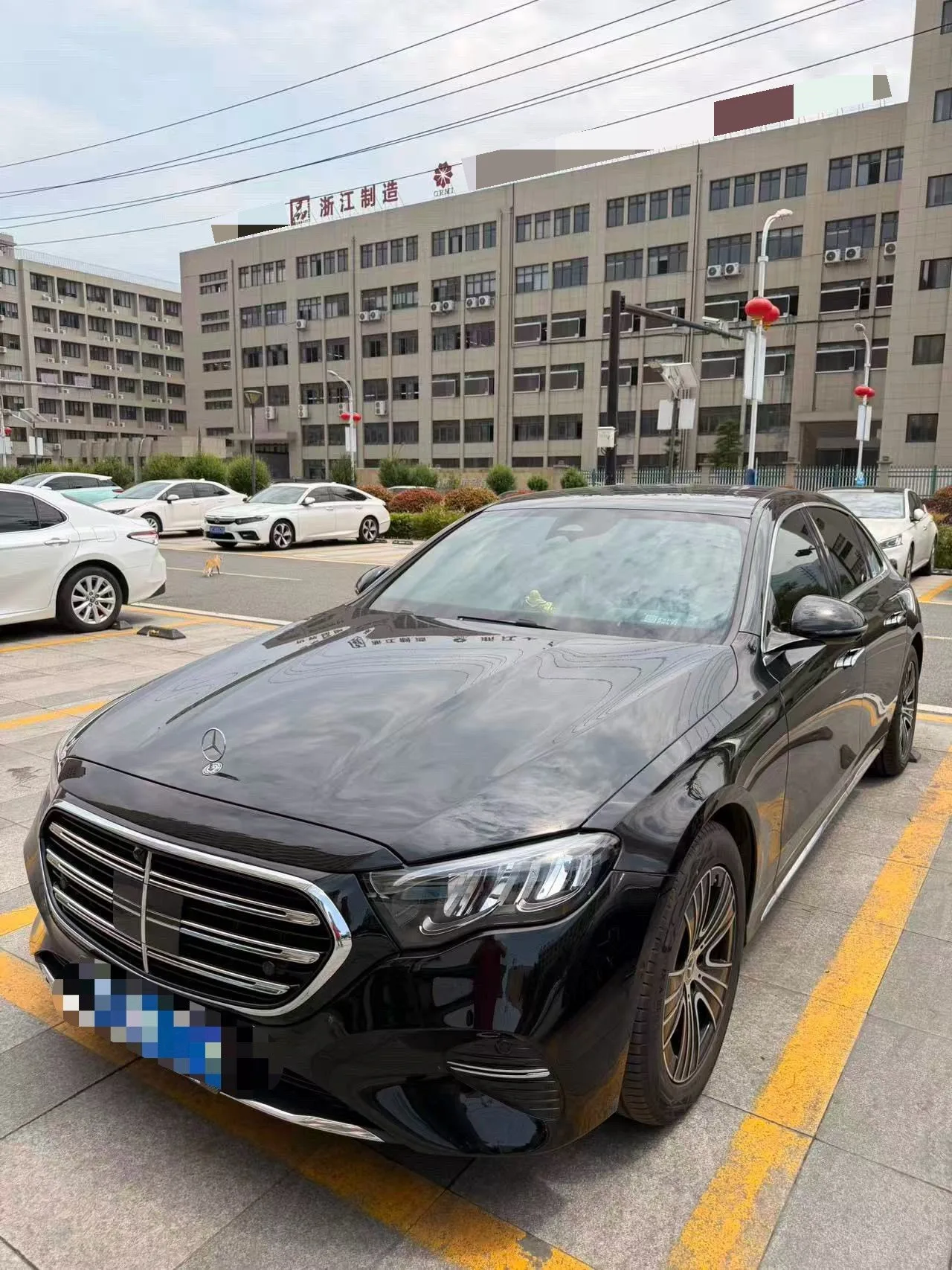 Mercedes-Benz E-Class 2026 E 260 L 48V 2.0T Classic Edition Automatic