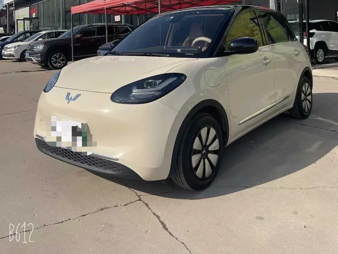 Wuling 2025 Bingo 333km Smart Connect Edition Automatic
