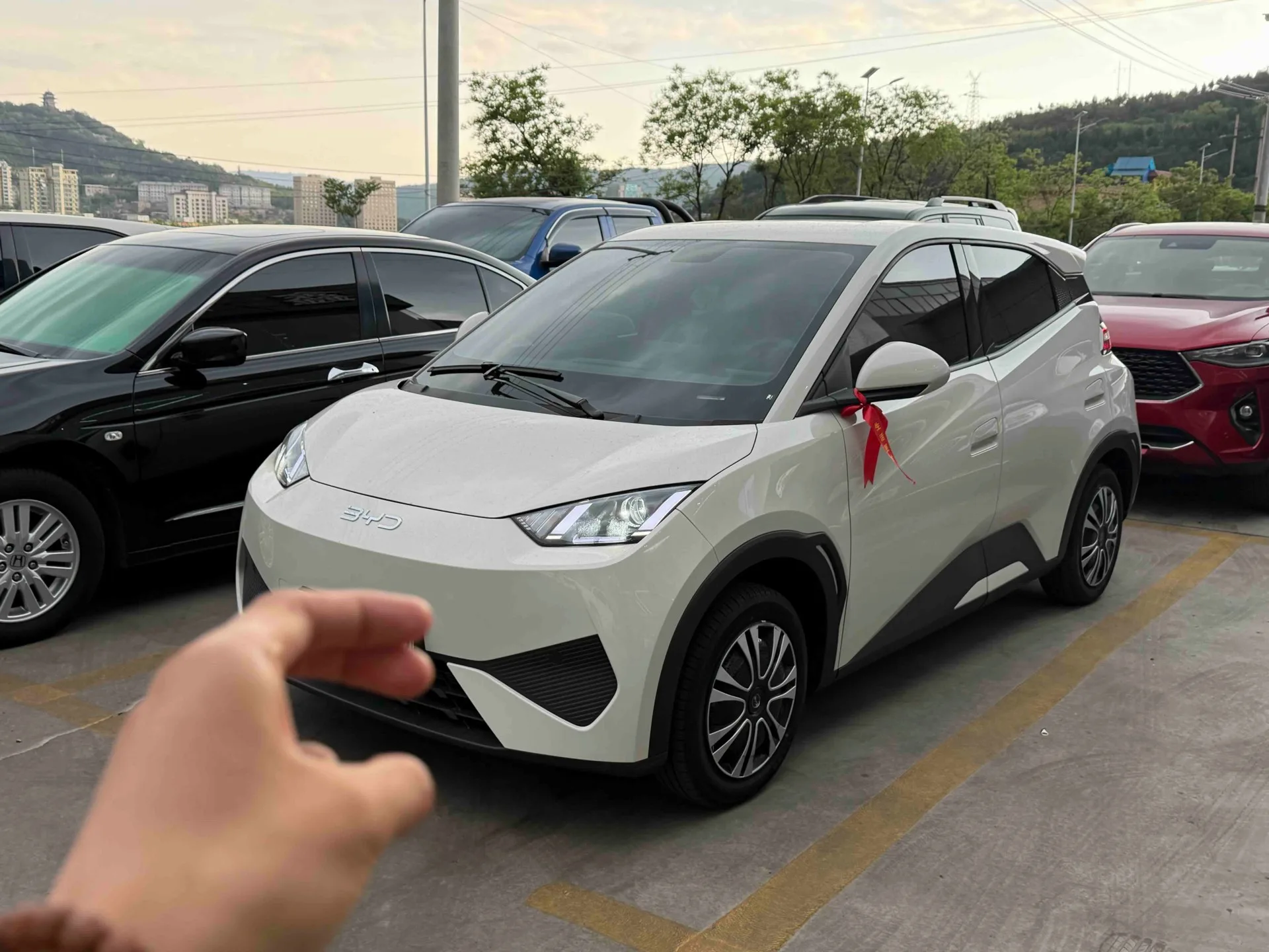 BYD 2025 Seagull Smart Driving Edition 305km/h Vitality Edition Automatic