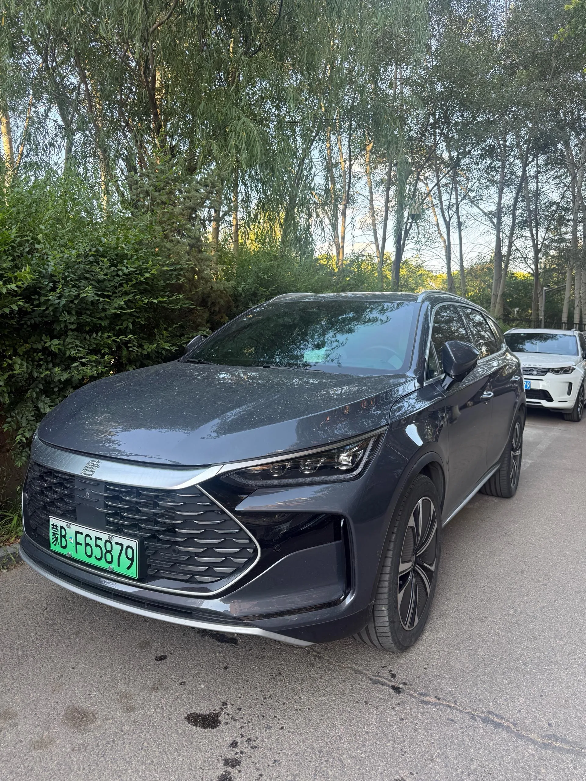 Tang New Energy 2022 DM-p 215KM 4WD Flagship Edition