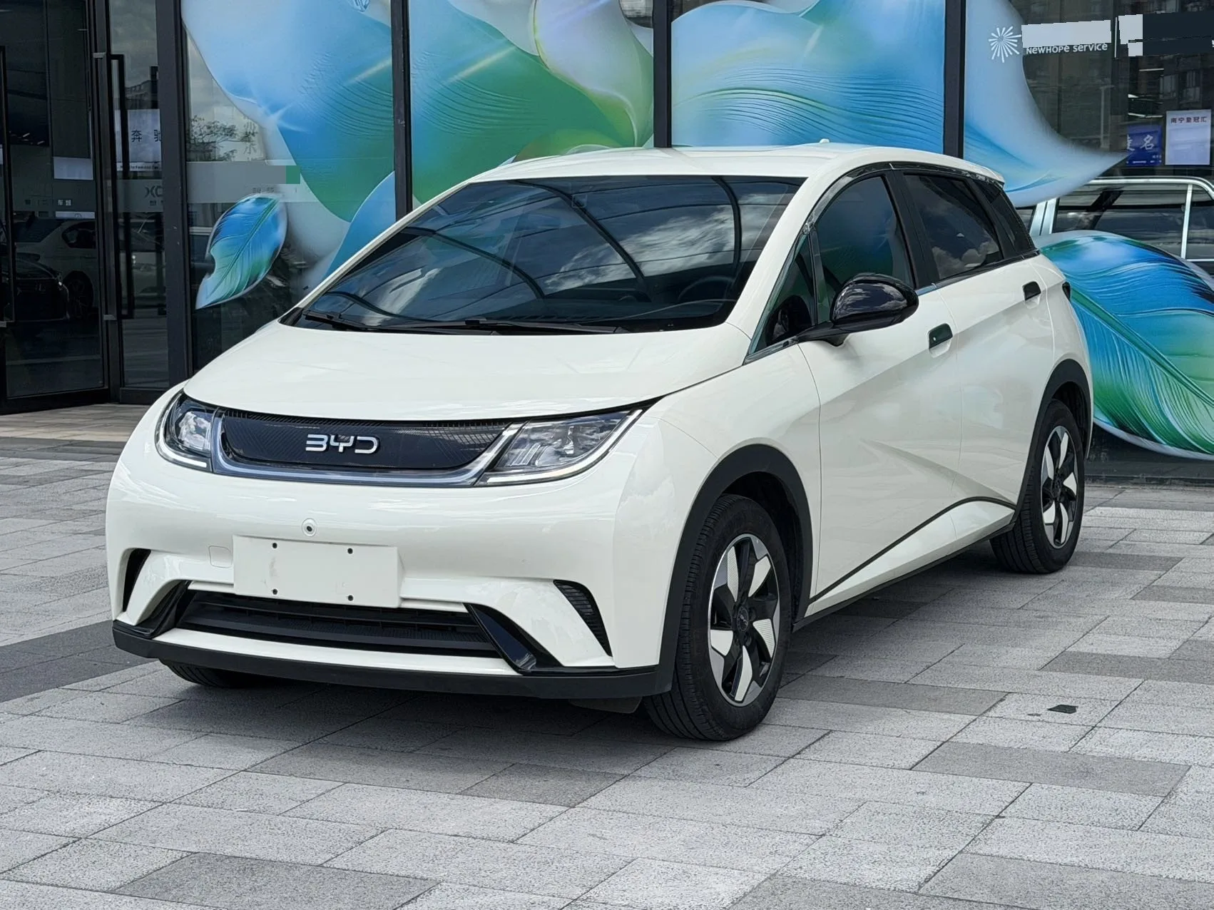 BYD 2024 Dolphin Glory Edition 420km Freedom Edition Automatic Transmission