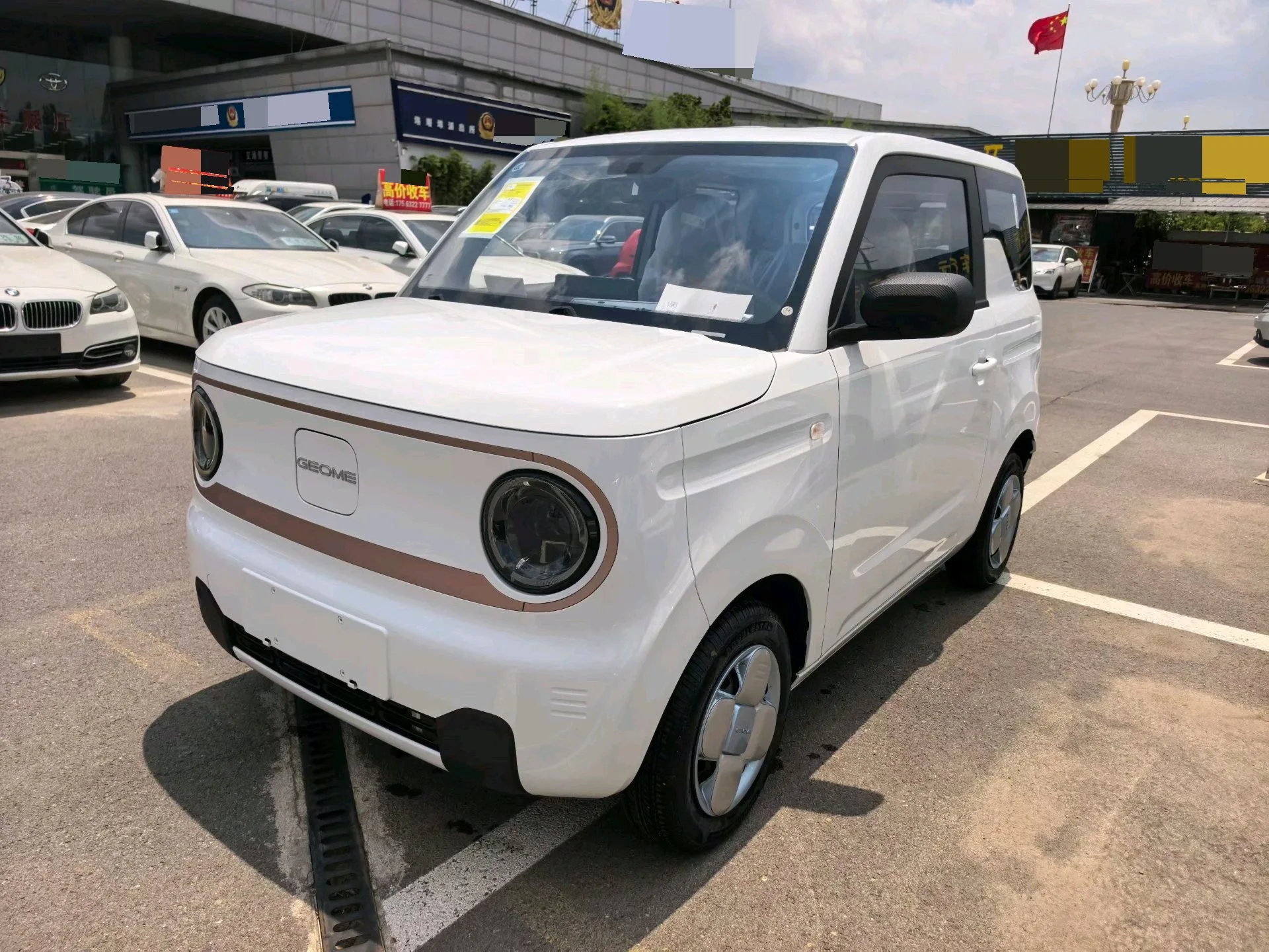 Panda 2024 Panda Mini 200km Endurance Bear