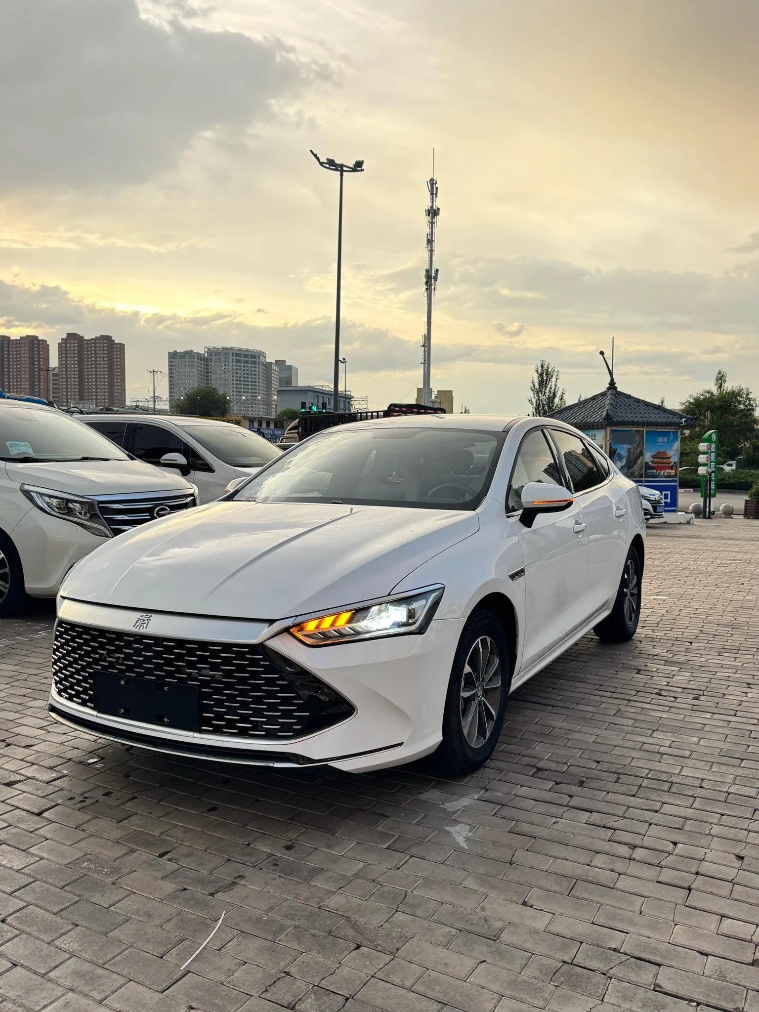 Qin L 2024 DM-i 80KM Leading Edition