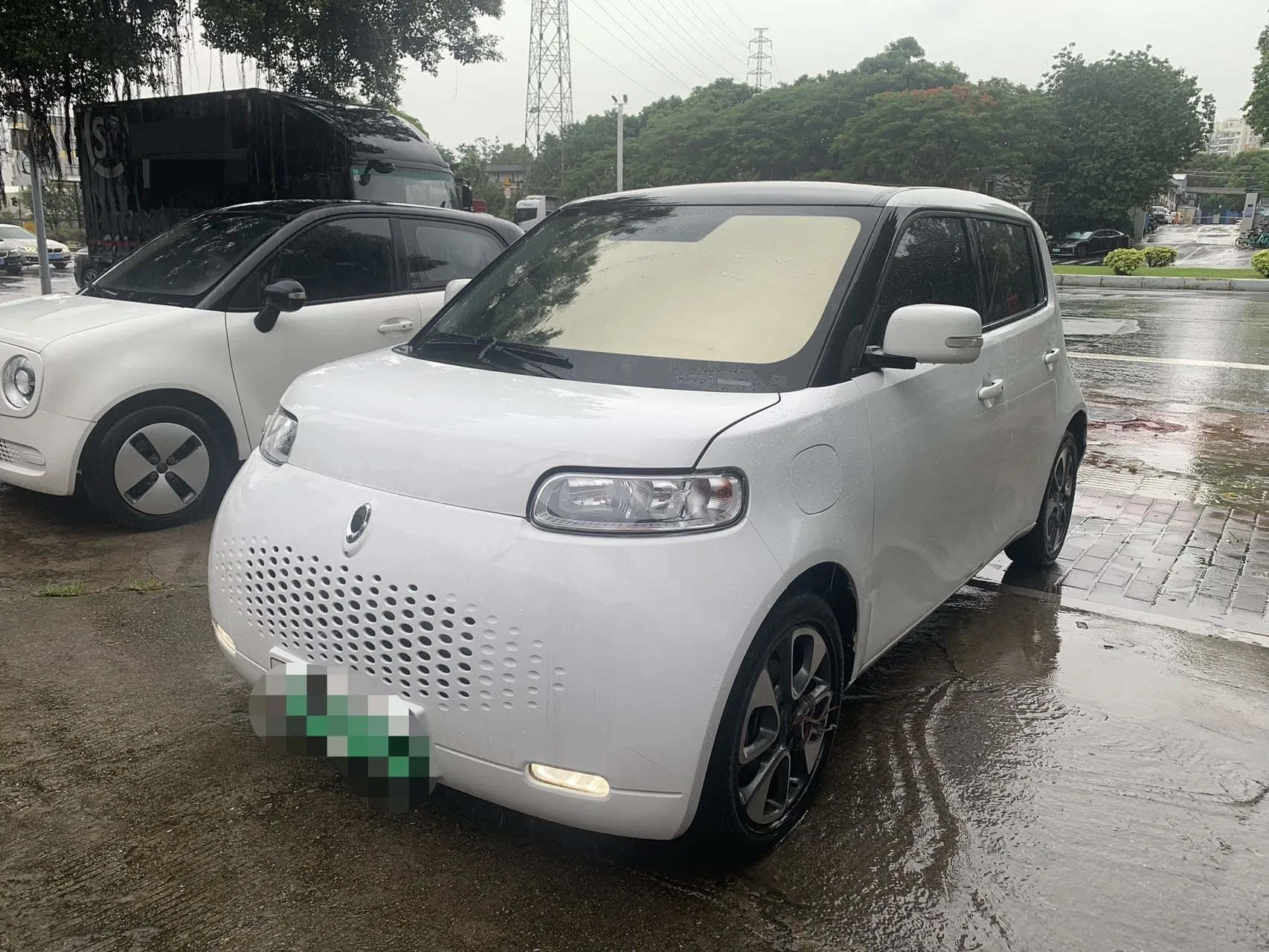 Euler White Cat 2020 Model, 305 km, Luxury Edition