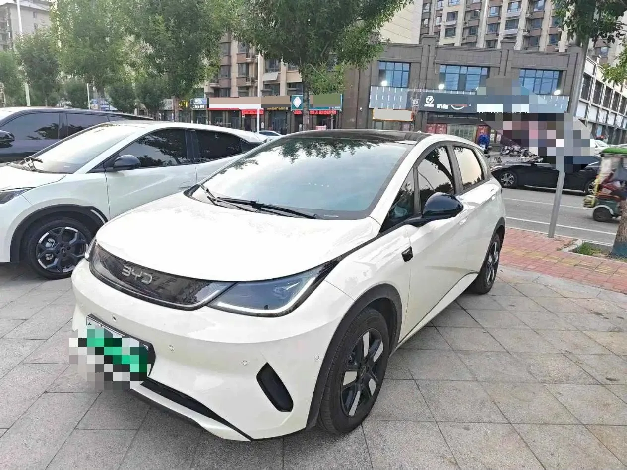 BYD 2025 Dolphin Smart Driving Edition 410km Fashion Edition Automatic