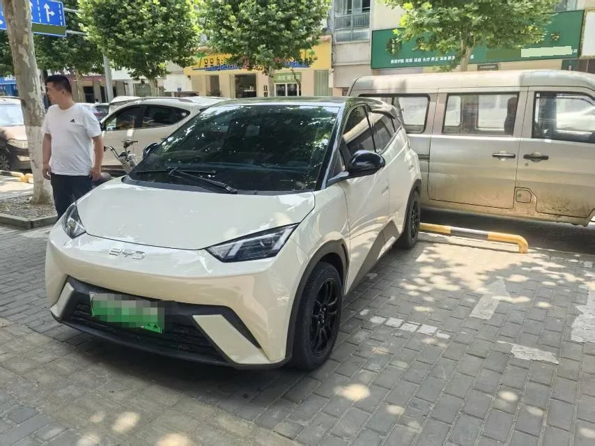 BYD 2024 Seagull Glory Edition 305km/h Vitality Edition Automatic
